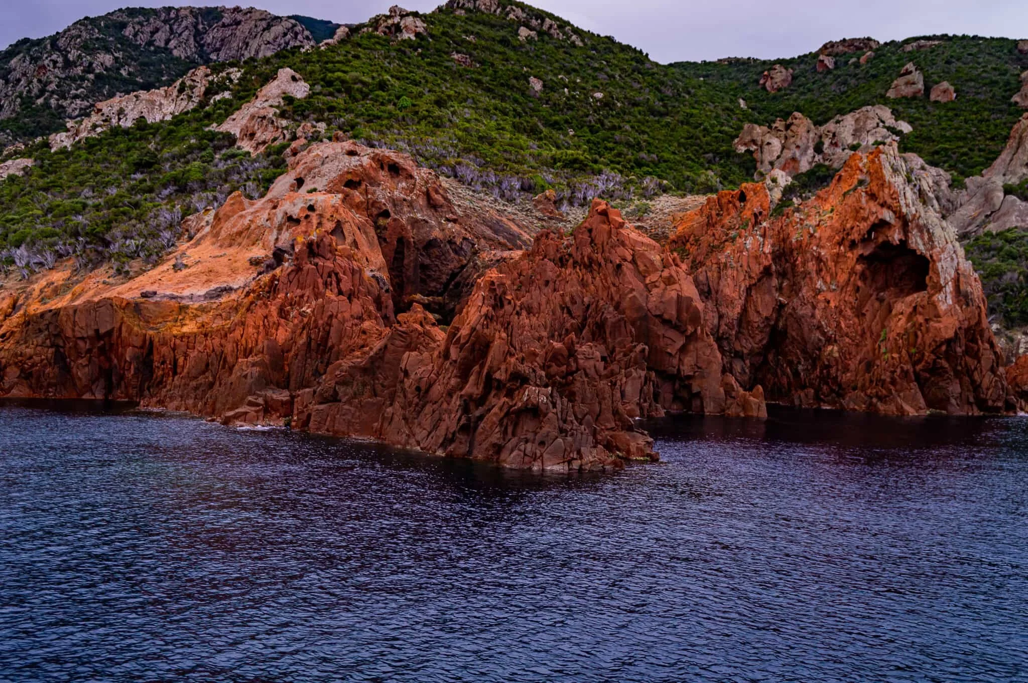 DSC_0218.jpg