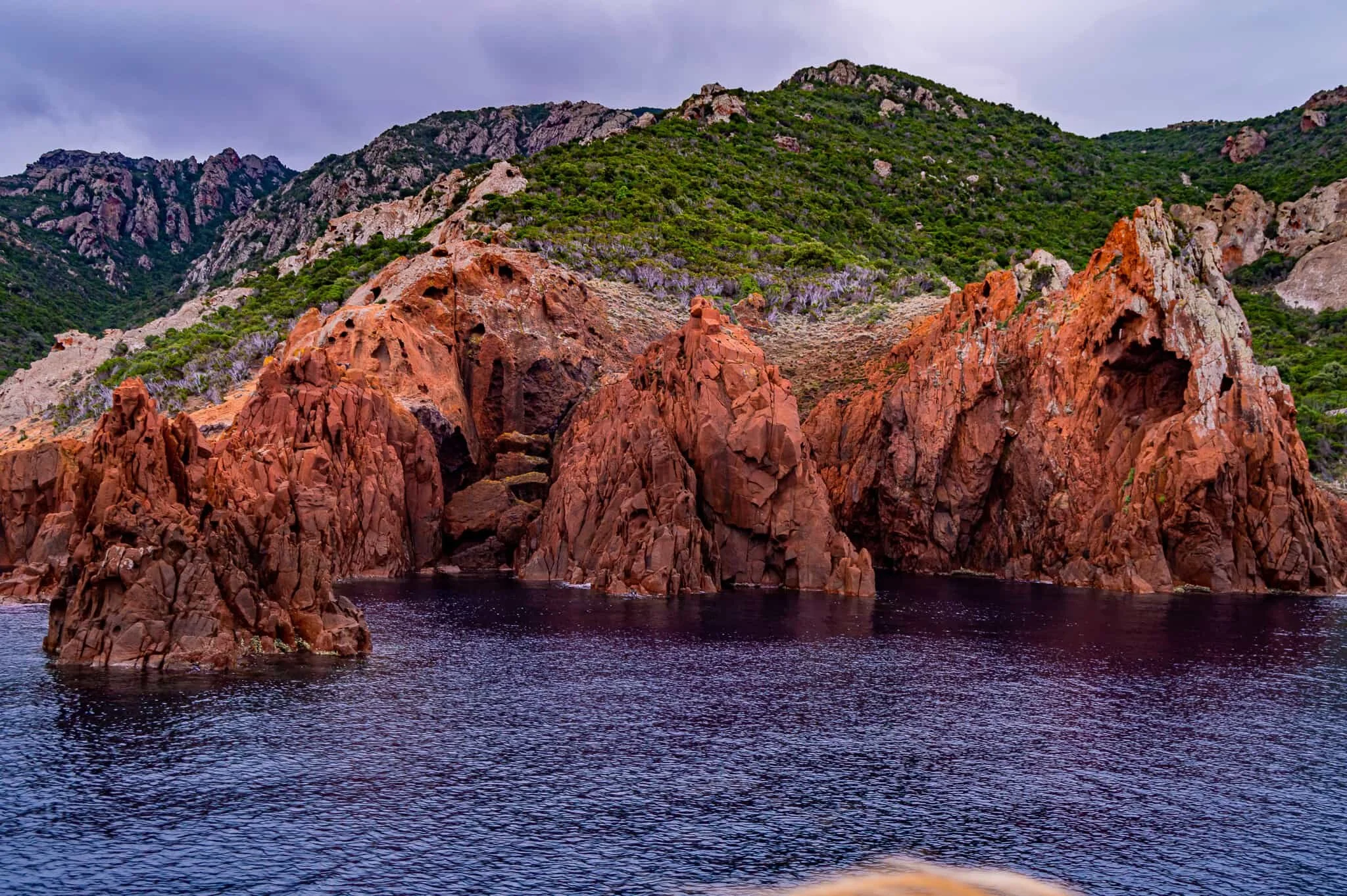 DSC_0219.jpg