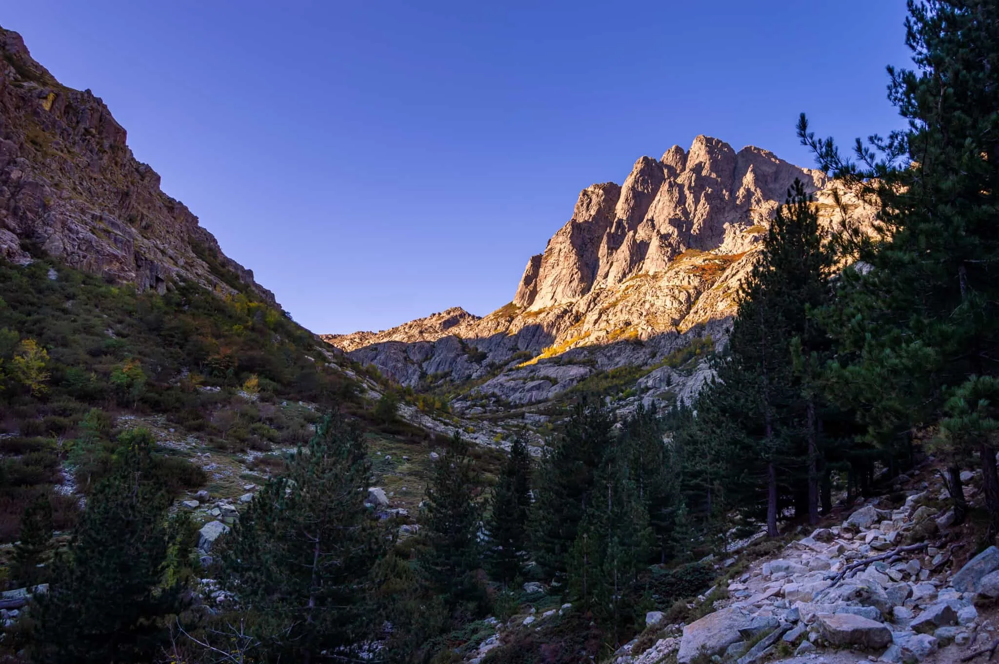 DSC_0345.jpg