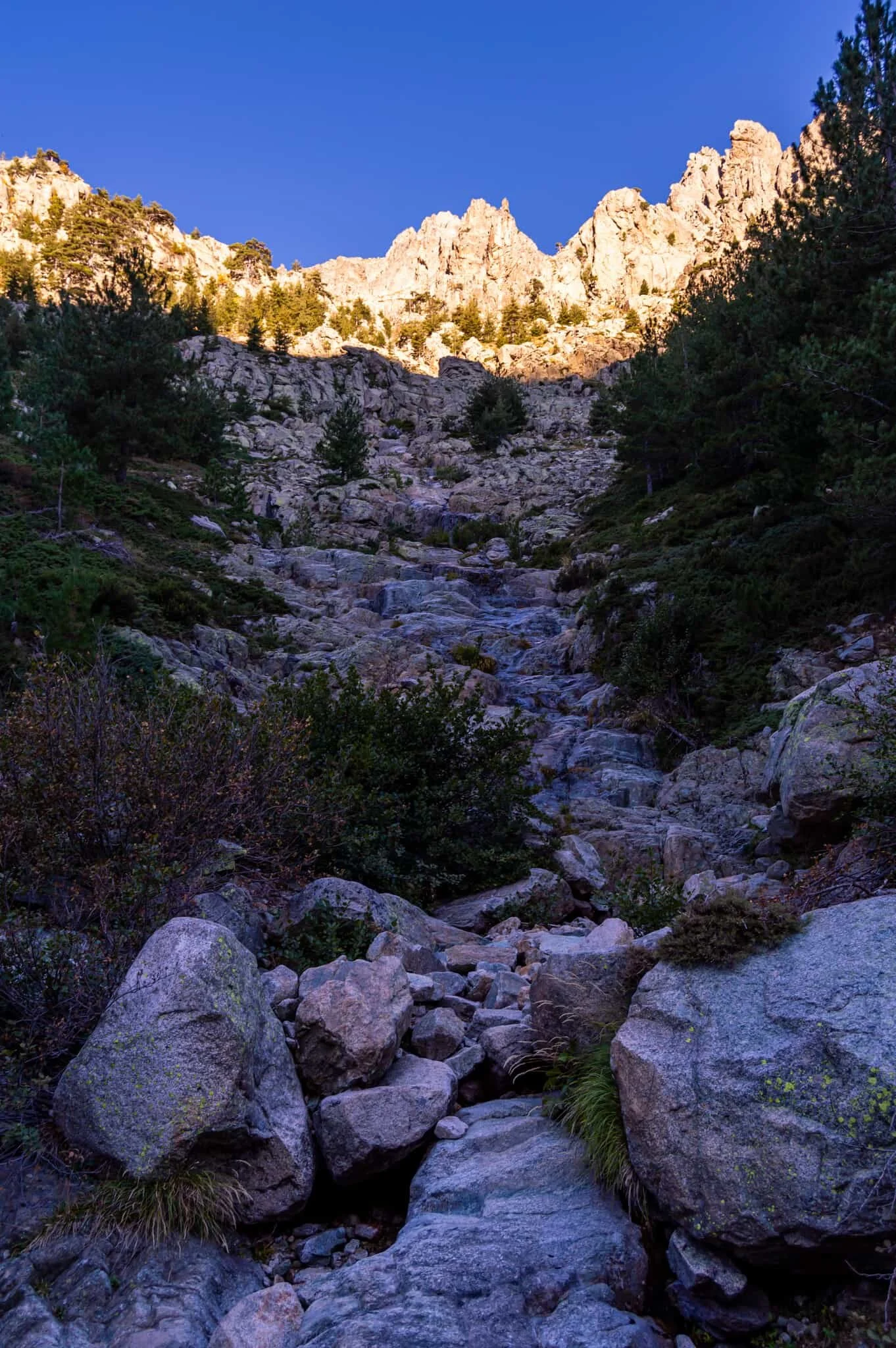 DSC_0347.jpg