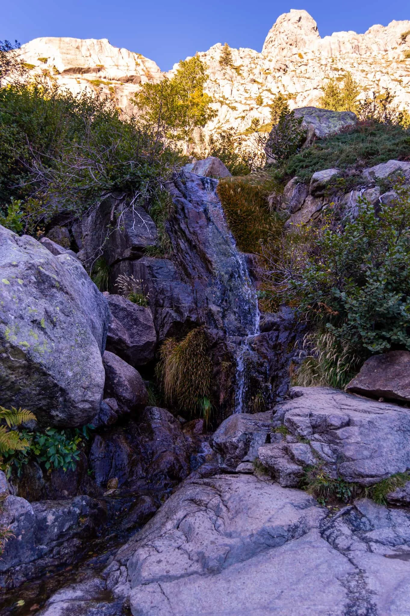 DSC_0356.jpg