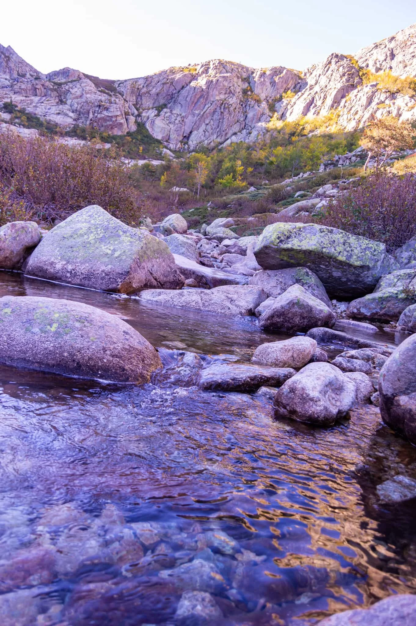 DSC_0365.jpg
