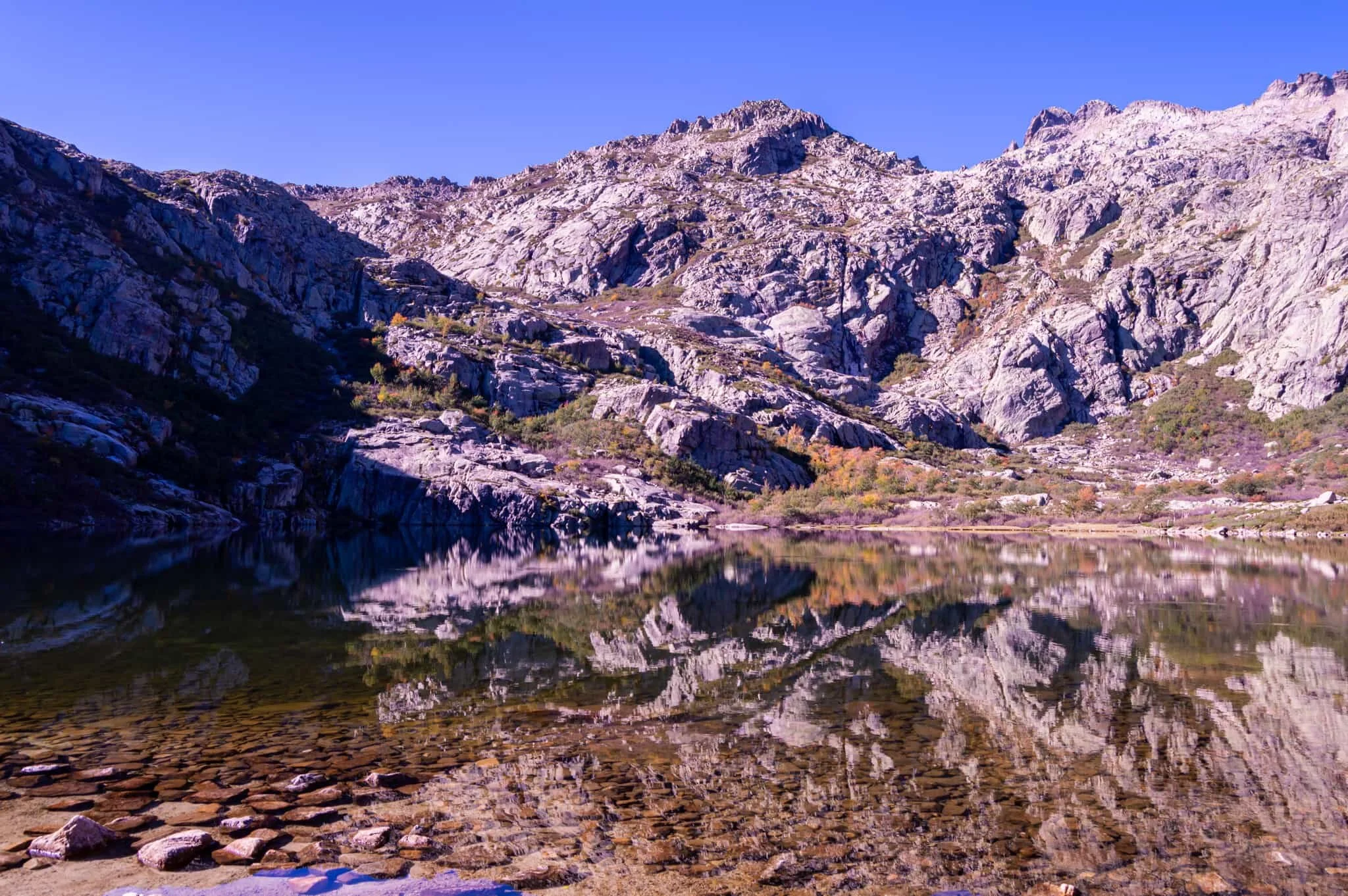 DSC_0396.jpg