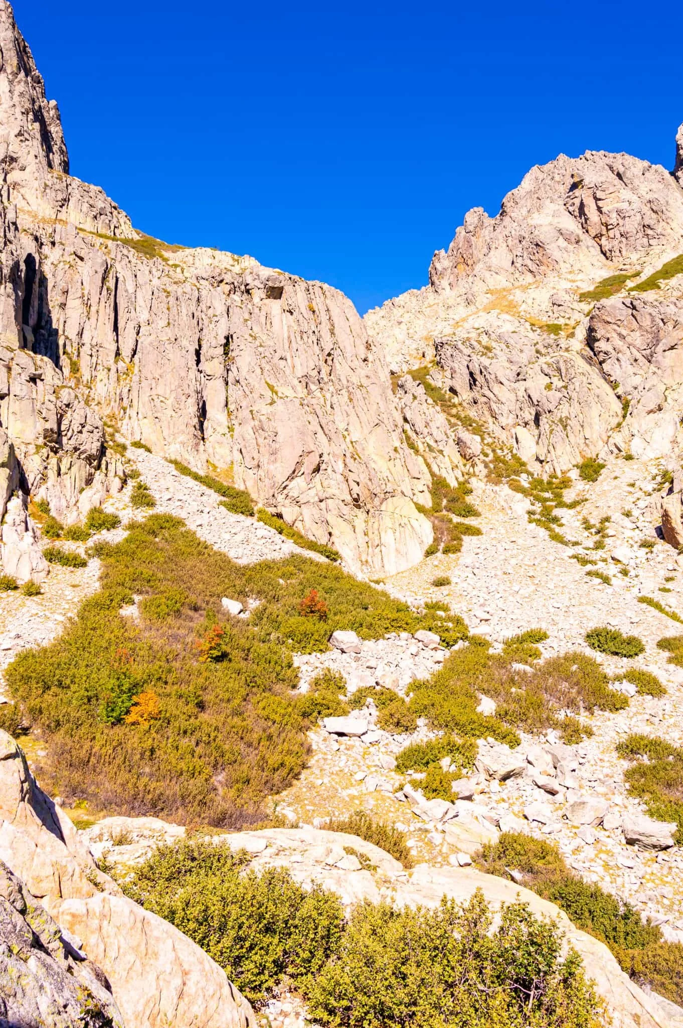 DSC_0404.jpg