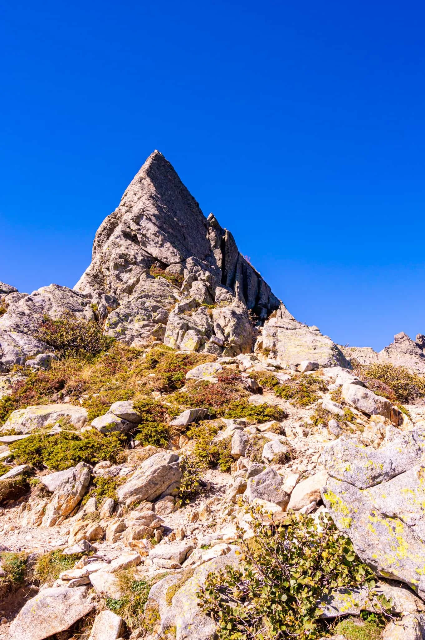 DSC_0414.jpg