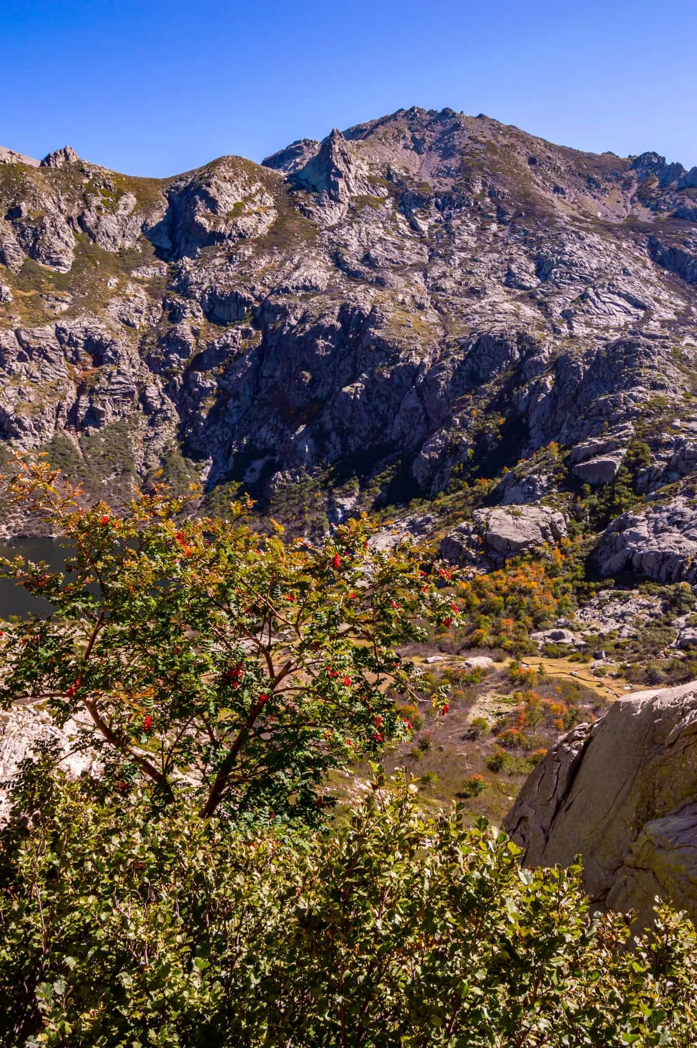 DSC_0442.jpg