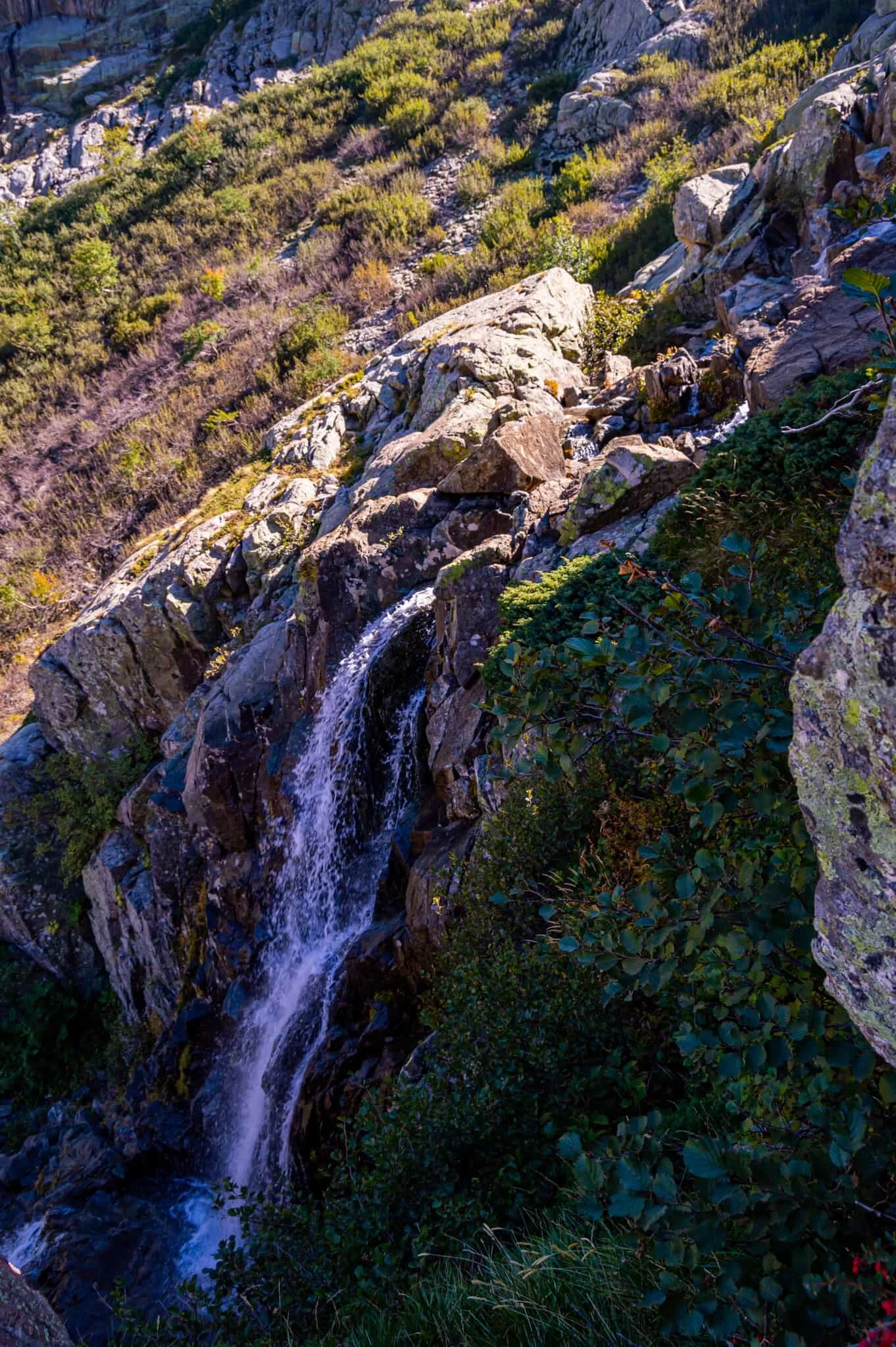 DSC_0462.jpg