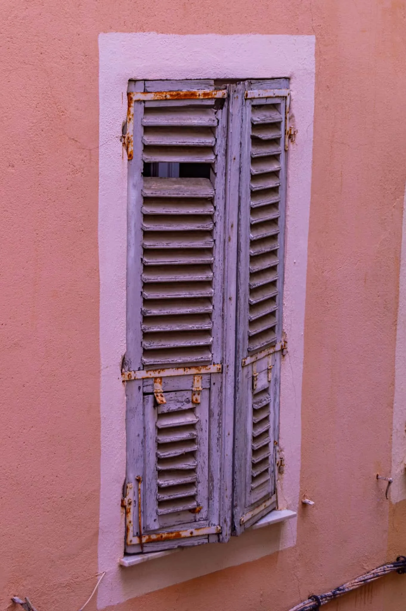 DSC_0517.jpg