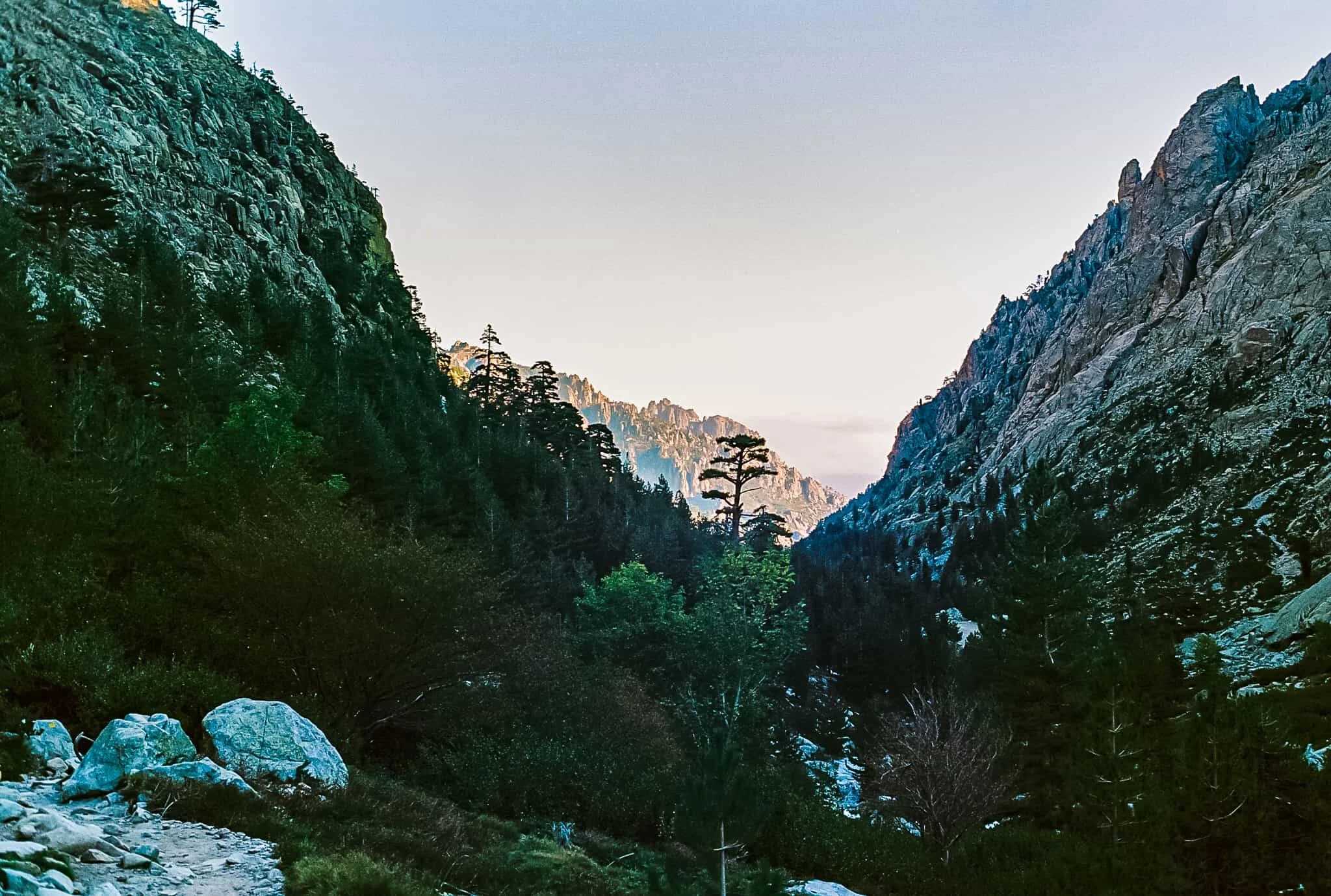 Shot on Kodak Ektar 100 with a Minolta X-7A