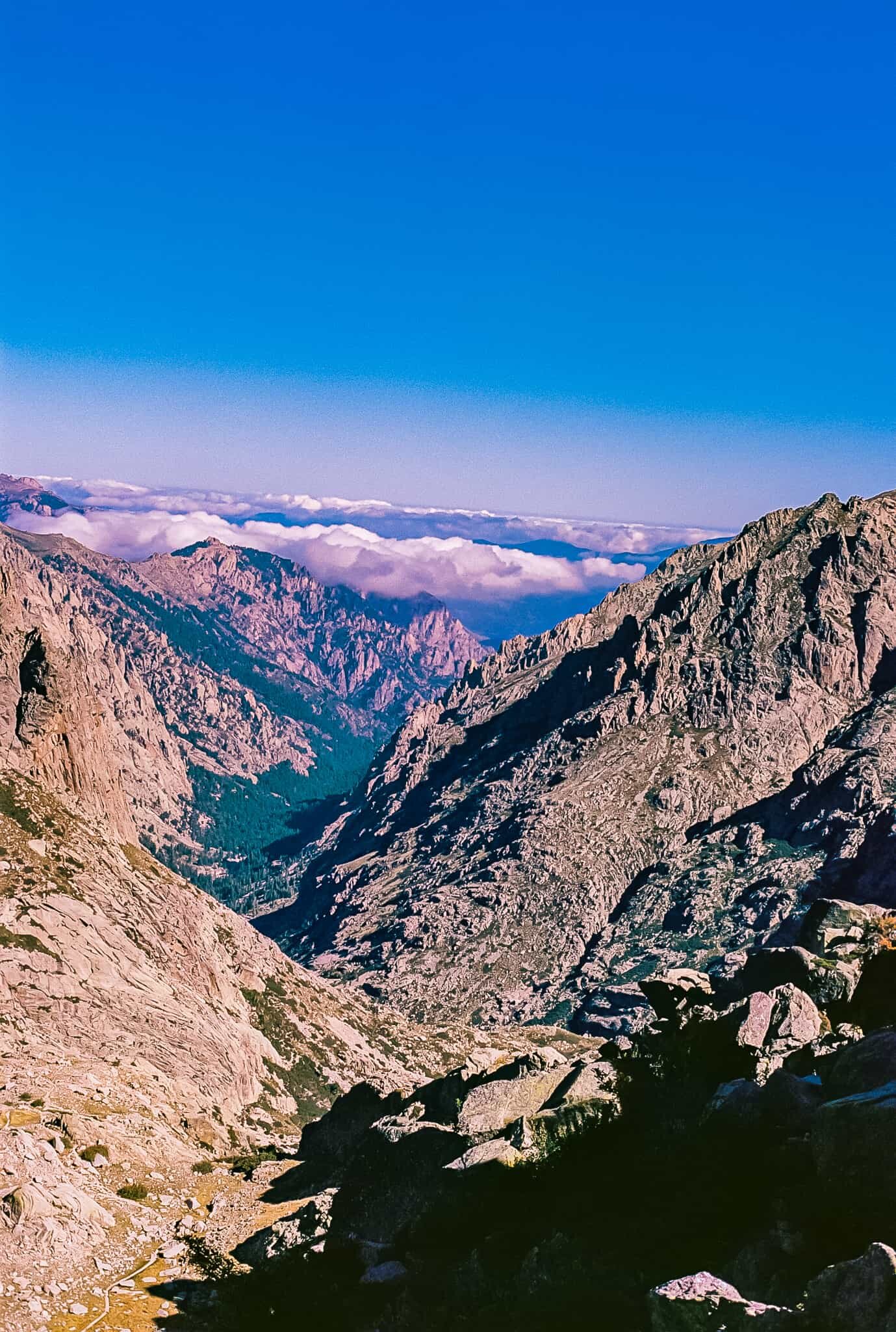 Shot on Kodak Ektar 100 with a Minolta X-7A