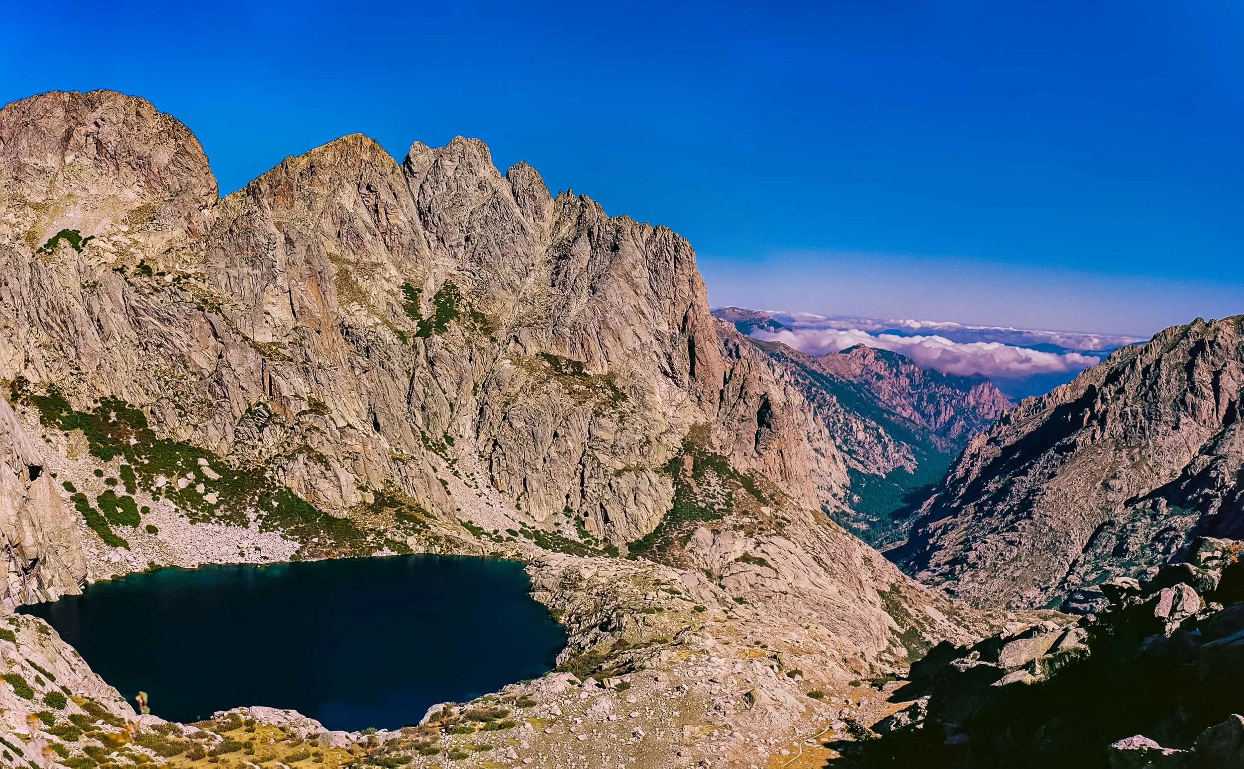 Shot on Kodak Ektar 100 with a Minolta X-7A