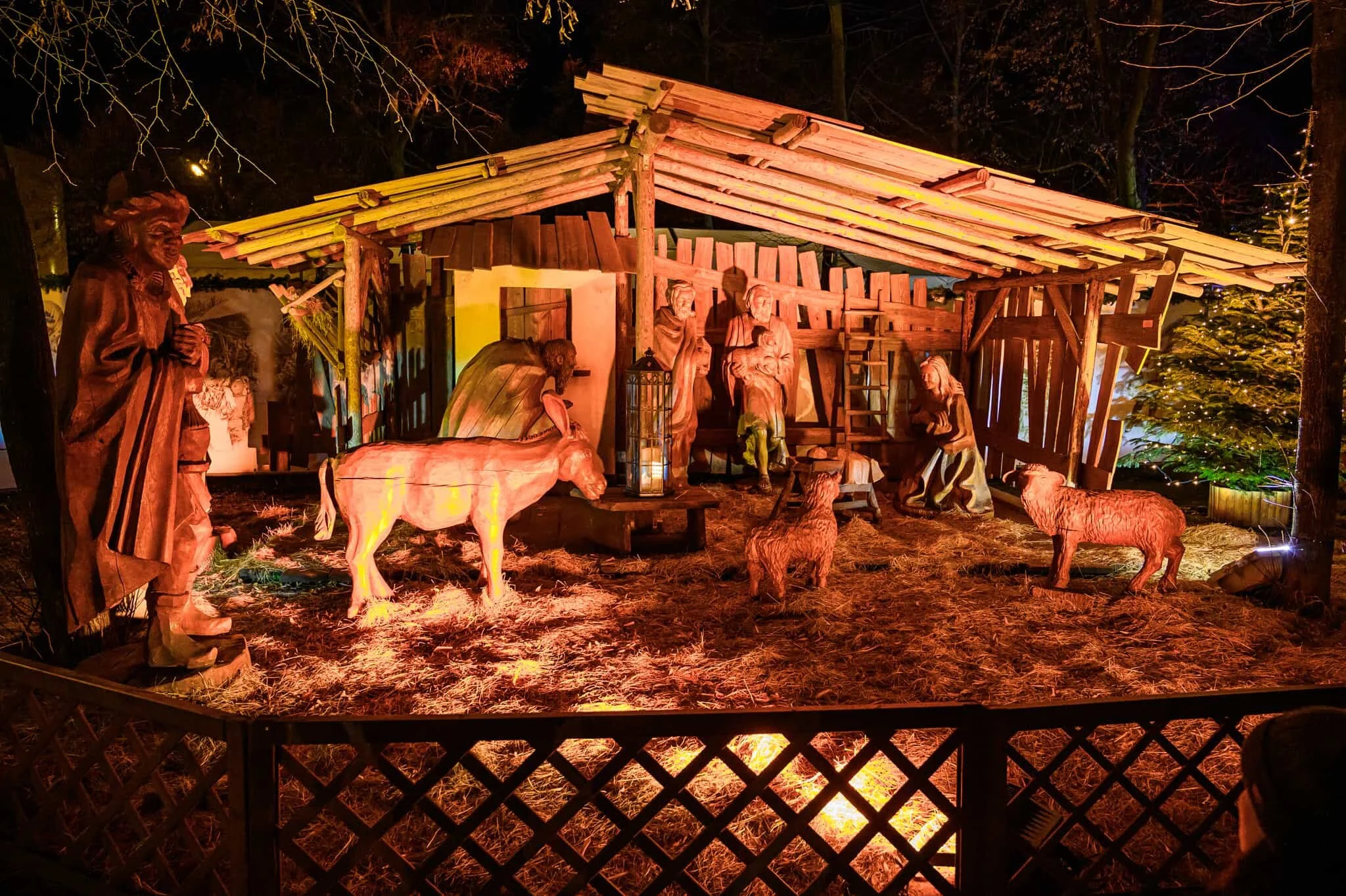 DSC_0887.jpg
