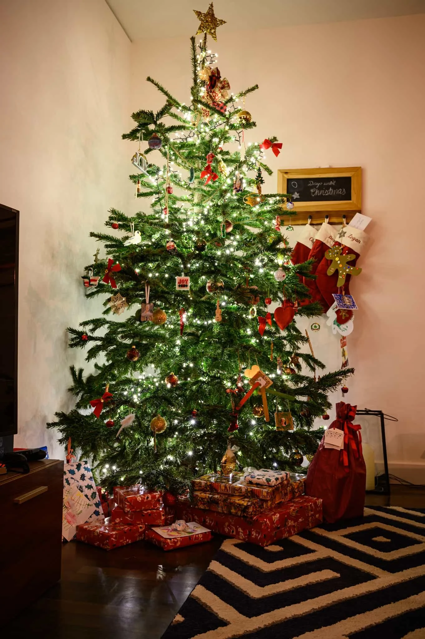 DSC_1150.jpg