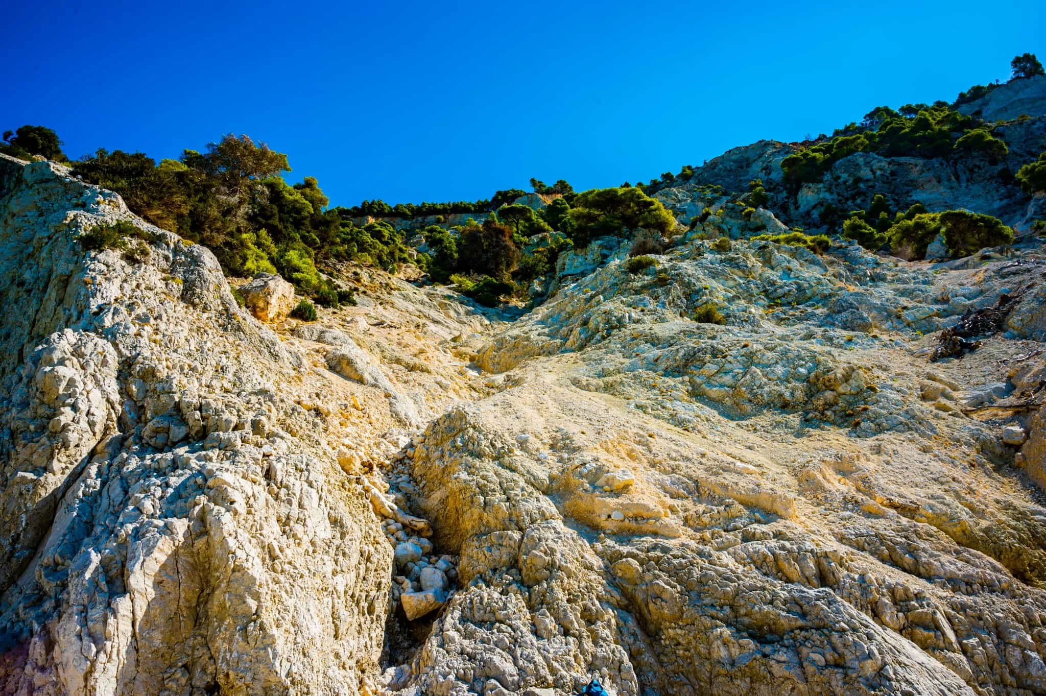 DSC_3464.jpg