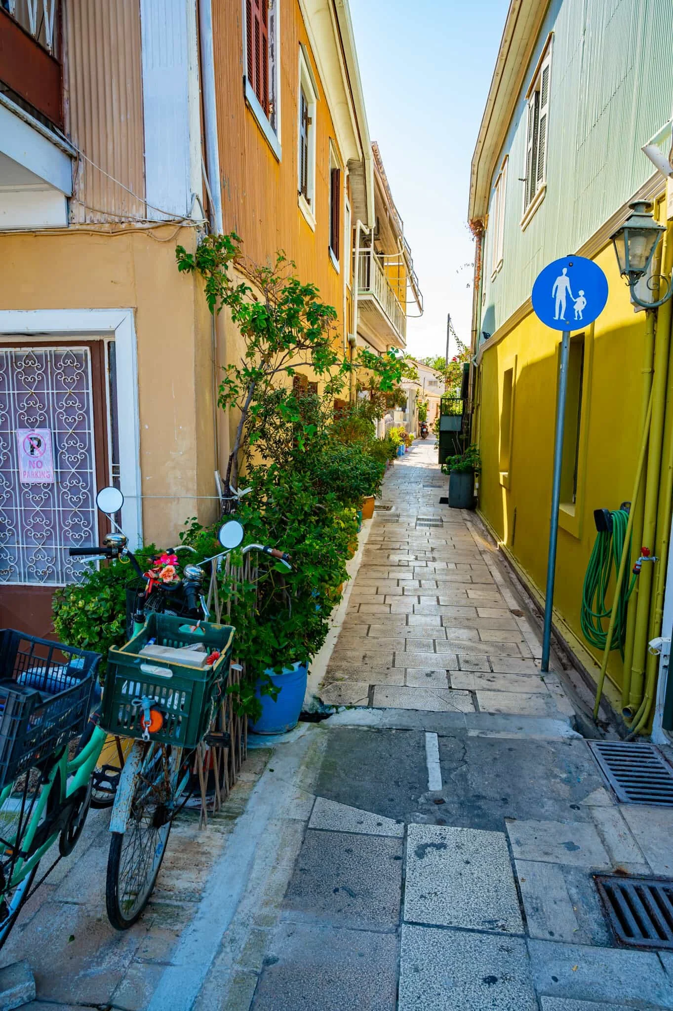 DSC_3609.jpg