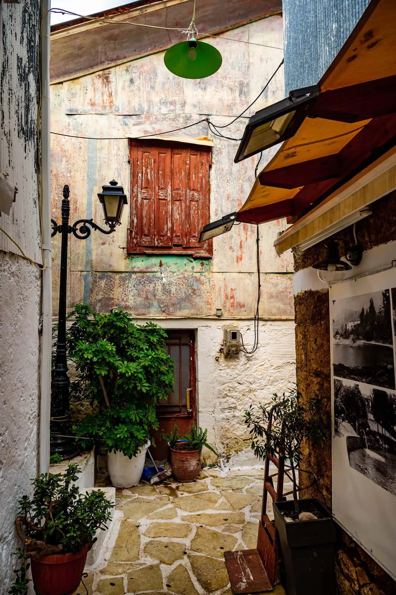 DSC_3735.jpg