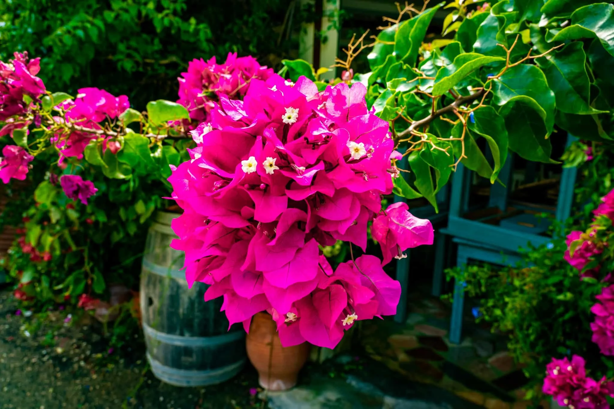 DSC_3744.jpg