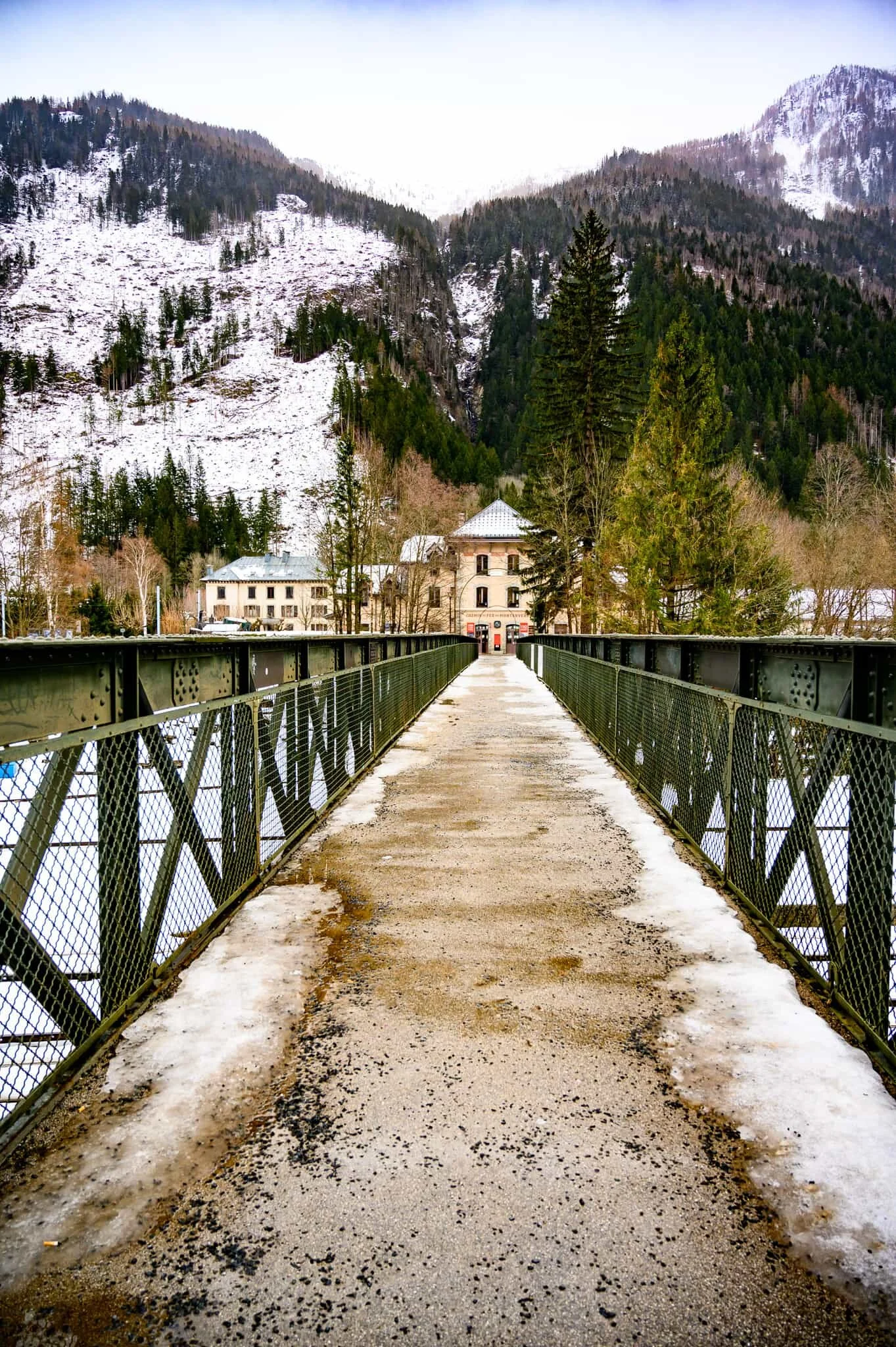 DSC_1733.jpg