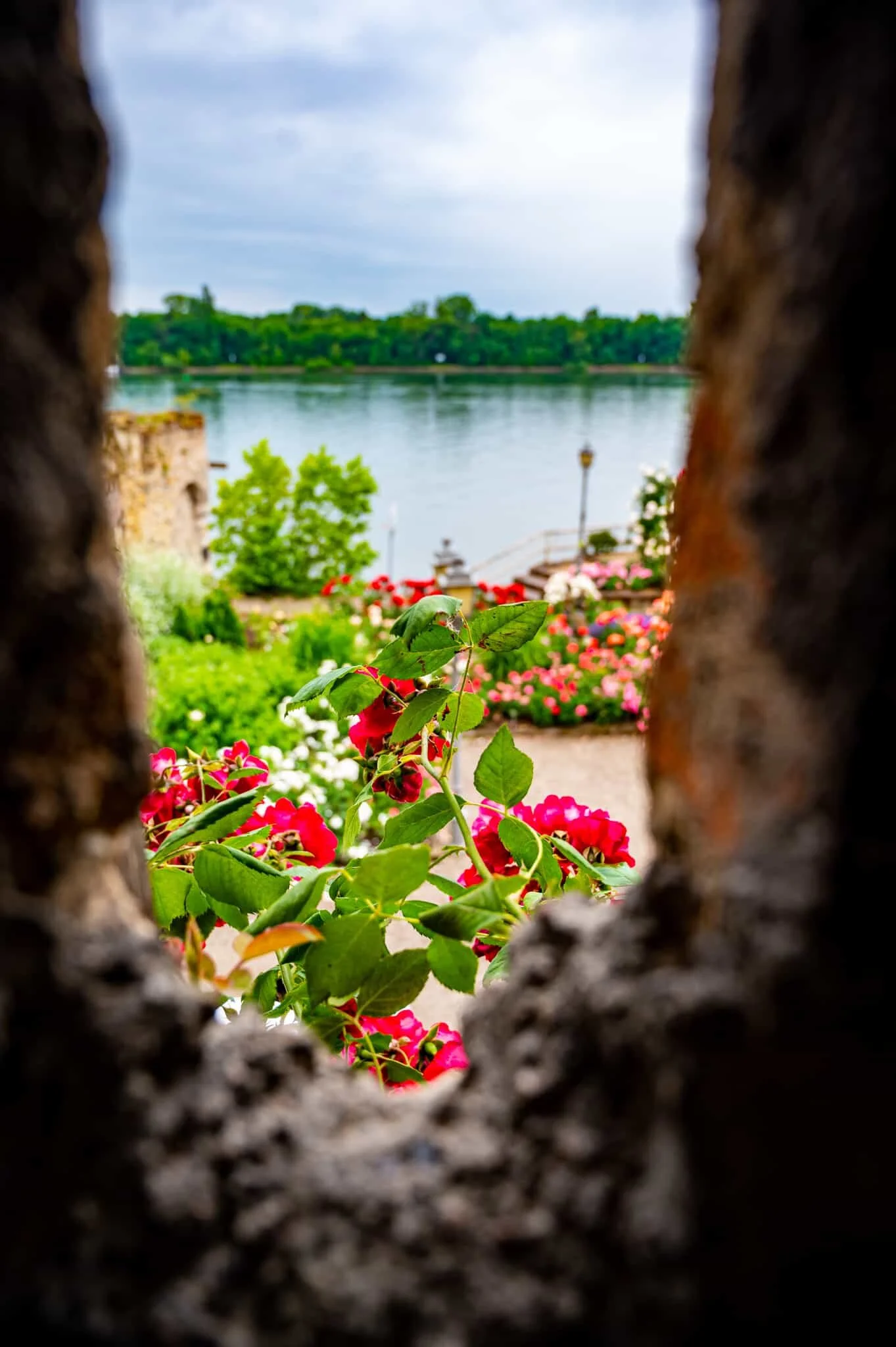 DSC_2850.jpg