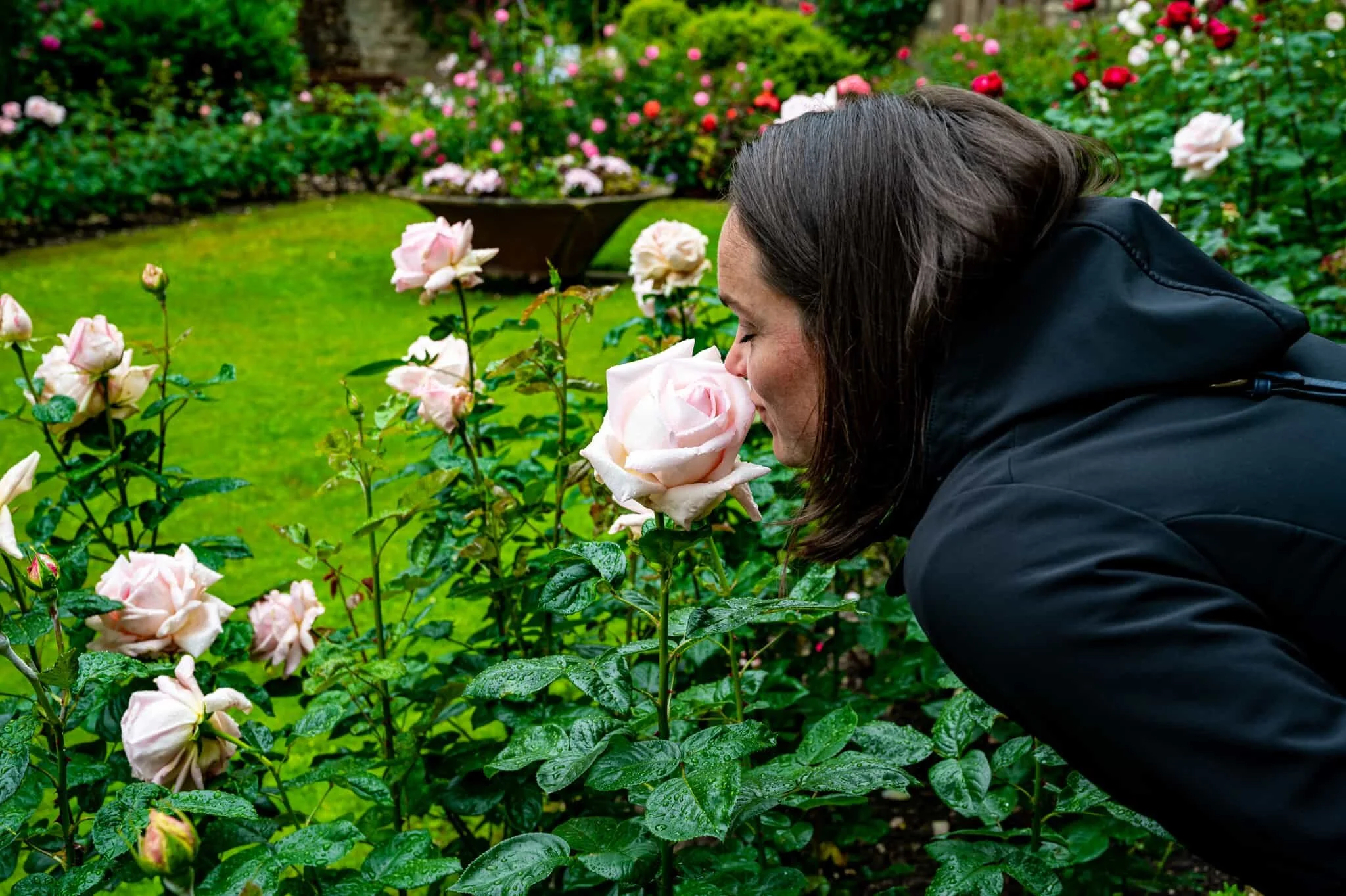 DSC_2873.jpg