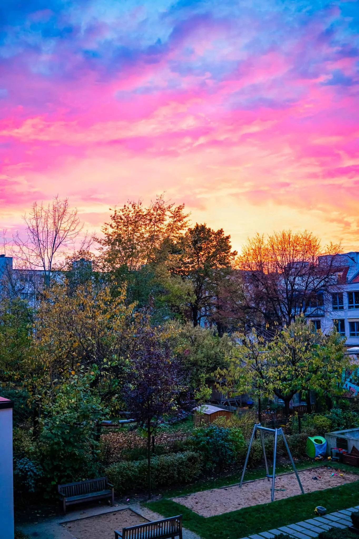 DSC_4264.jpg
