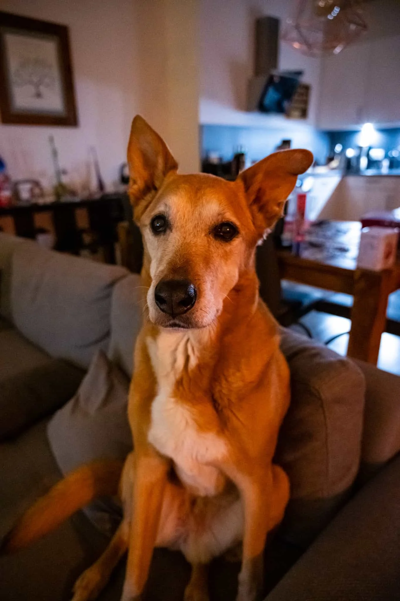 DSC_4298.jpg