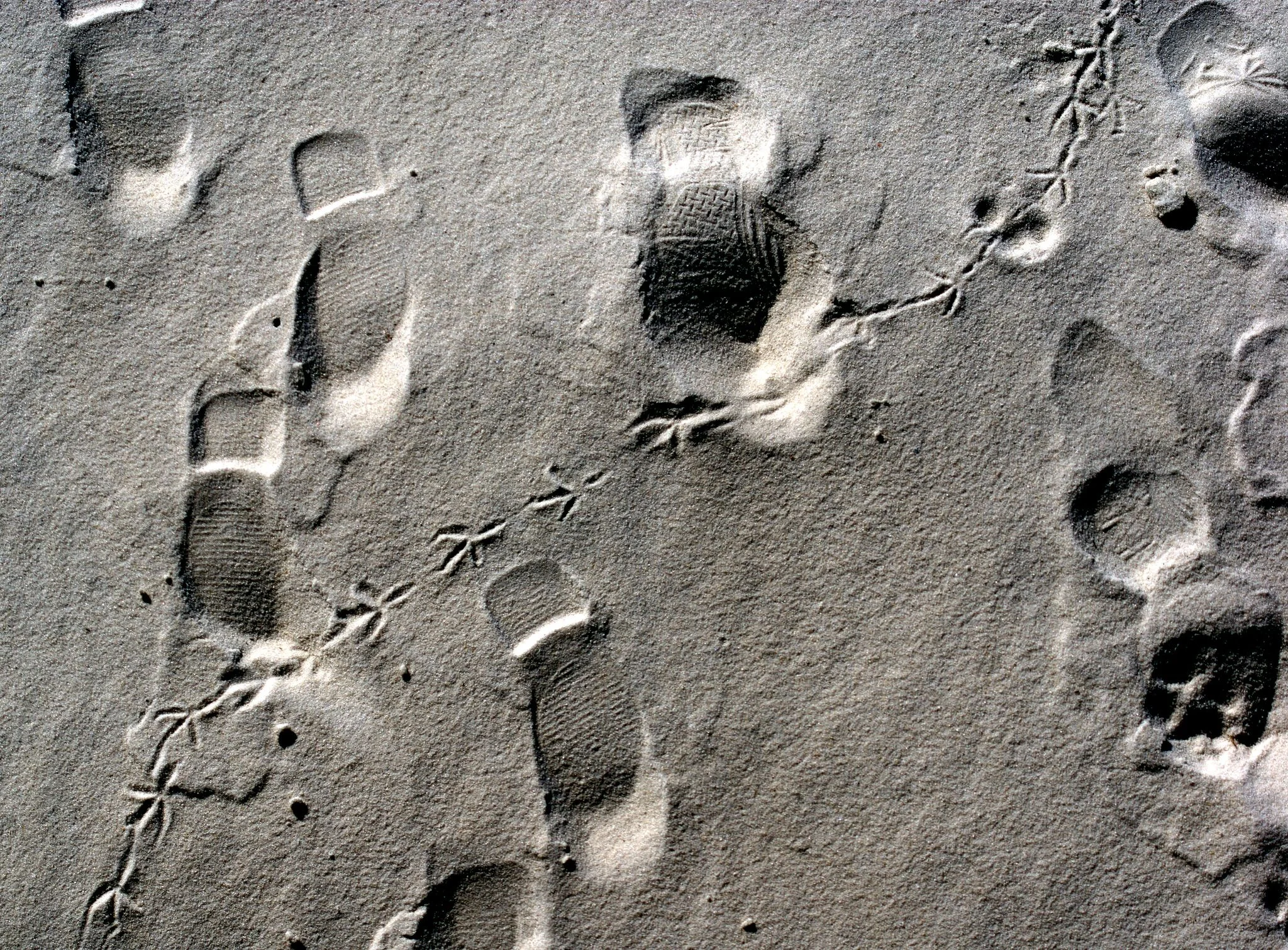 footprints.jpeg