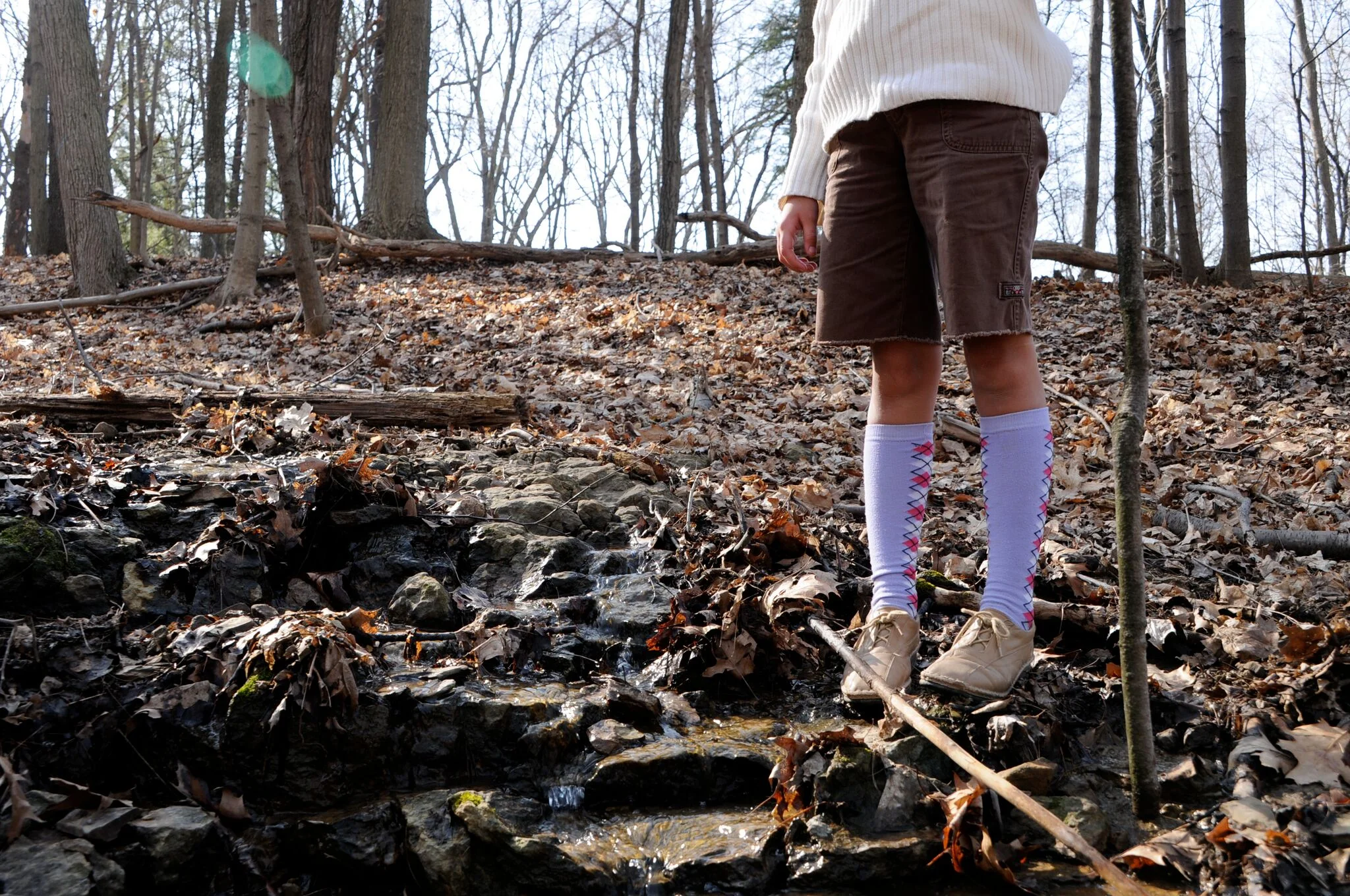 leaves footprints.jpeg