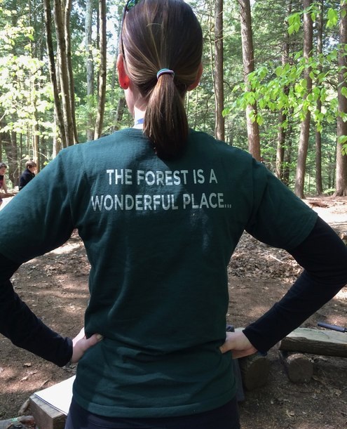 The+Forest+is+a+Wonderful+Place.jpg