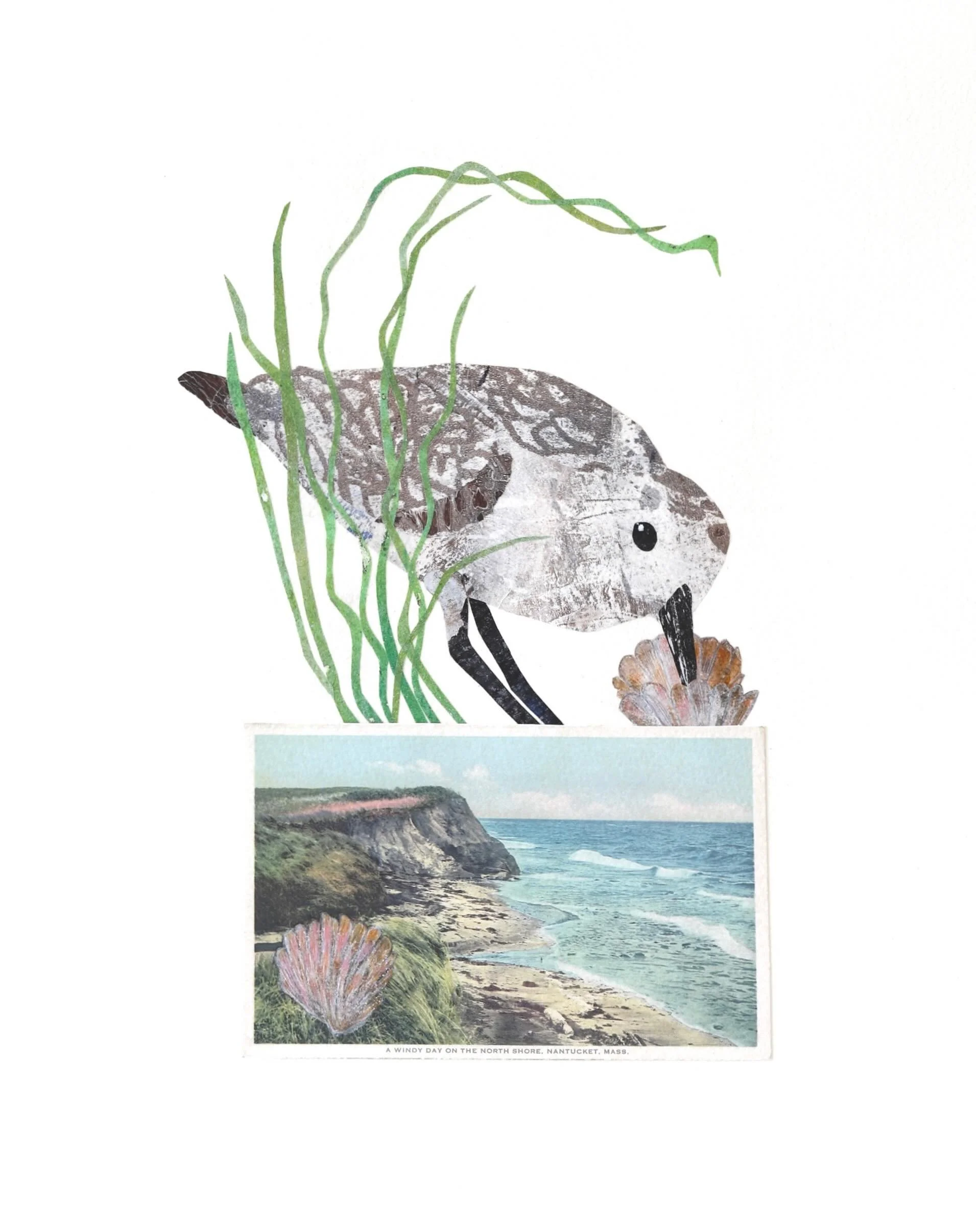Sometimes in the shoulder season I&rsquo;ll walk on the beach and see nobody else. It&rsquo;s a chance to really be at one with the natural surroundings, to watch the shorebirds and hear the waves, to smell the sea air and feel the wind. It&rsquo;s a