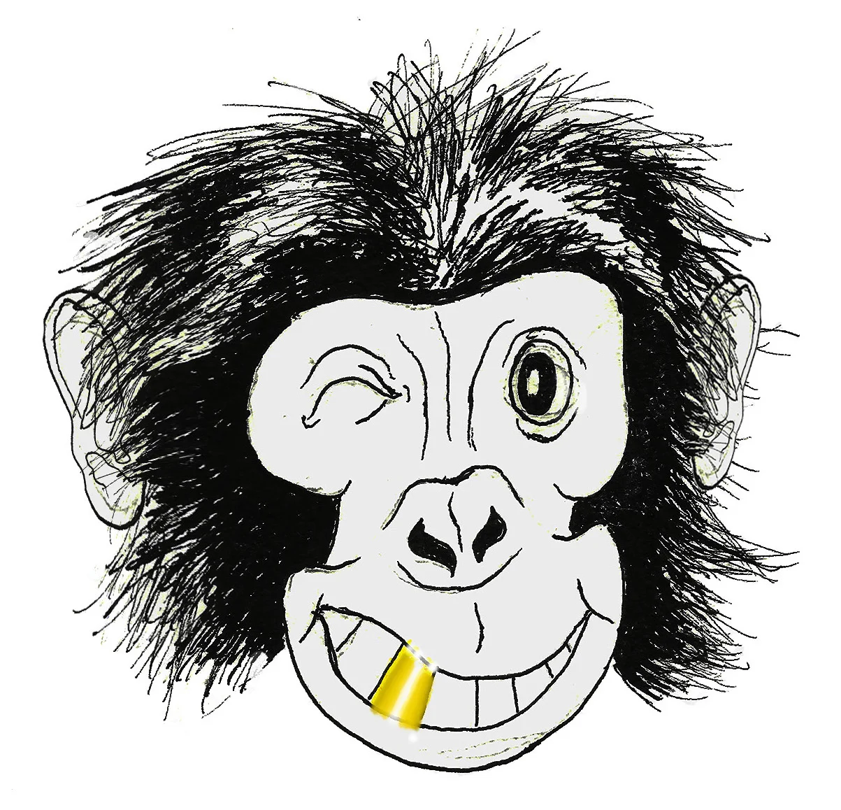 Welcome to Monkey Tooth!