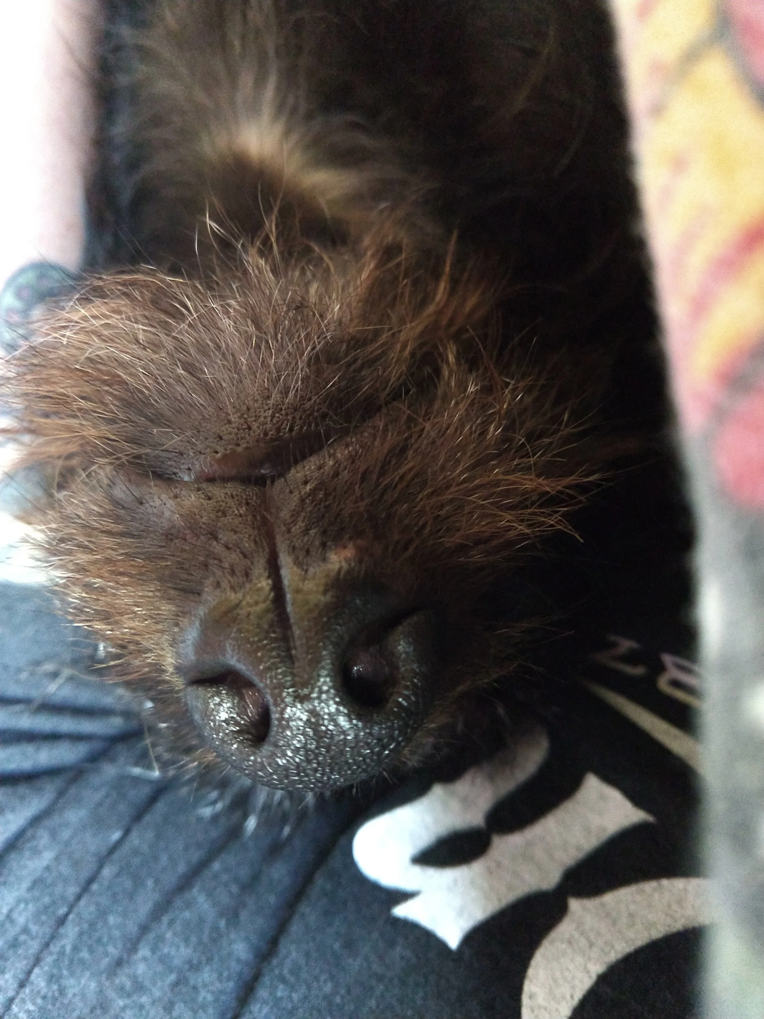 Looking down my nose at me?