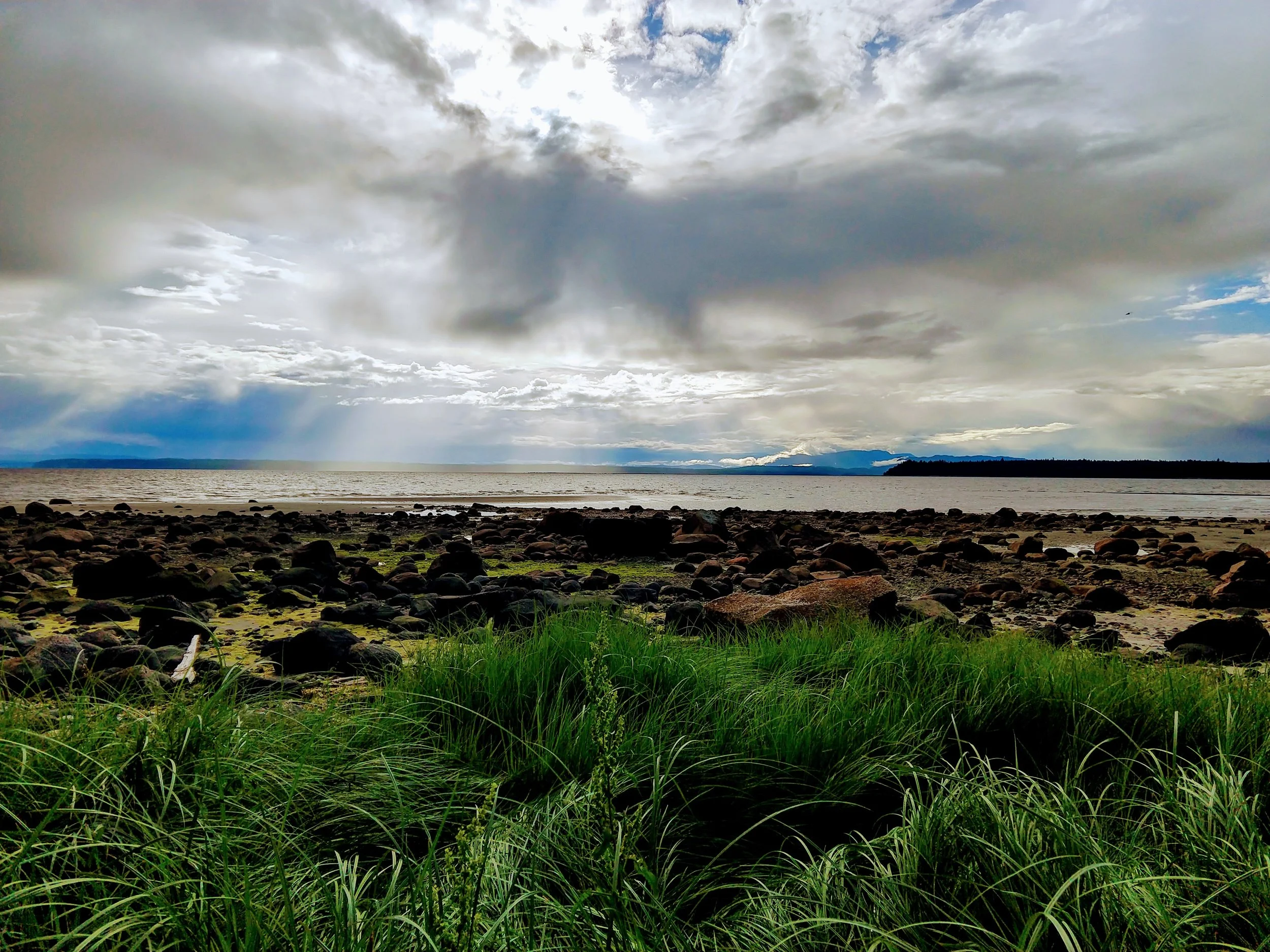 IMG_20180609_190147036_HDR.jpg