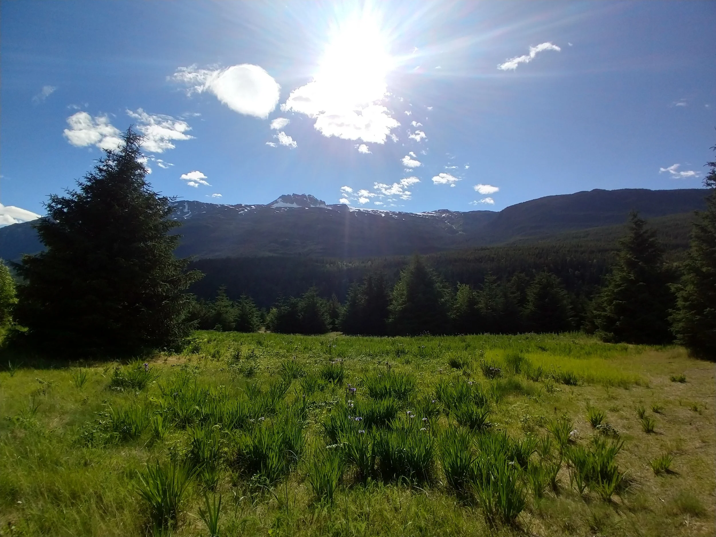 100 yards from our campsite in Dyea, AK (outside of Skagway)