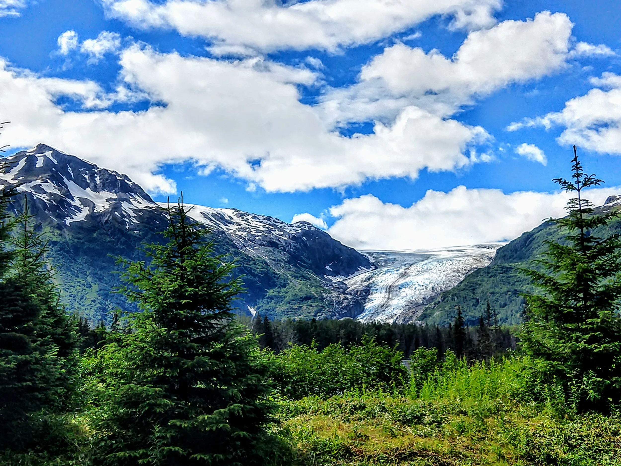 Exit Glacier, Seward, AK