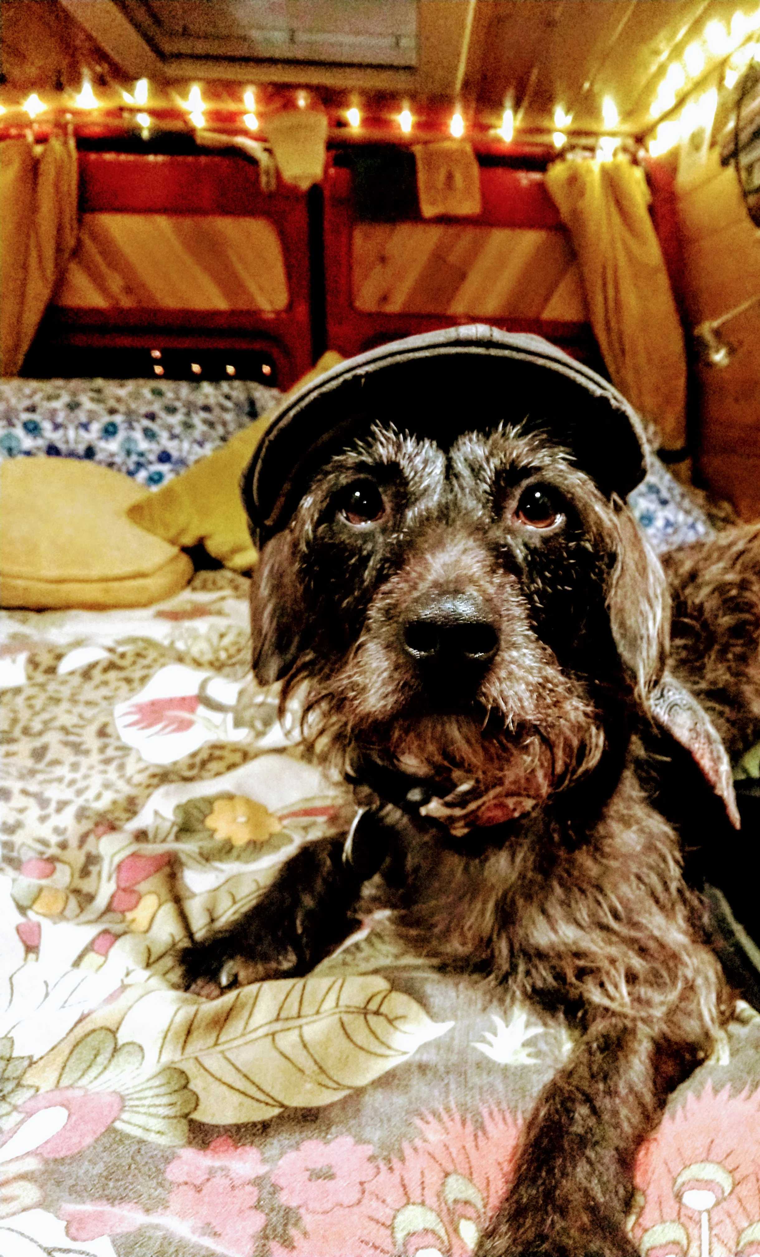 Pelé does not like this hat.
