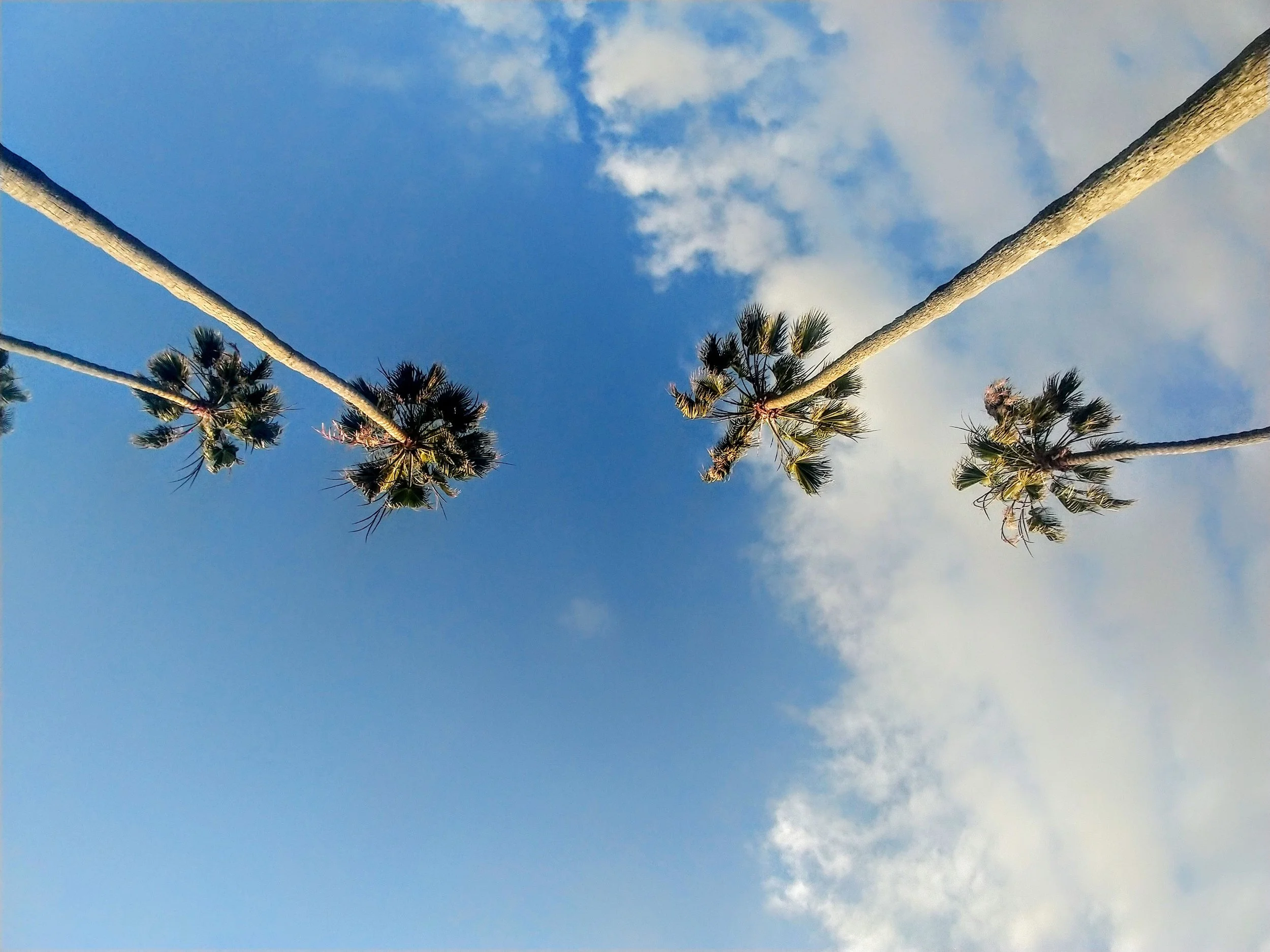 When you are low, look up!