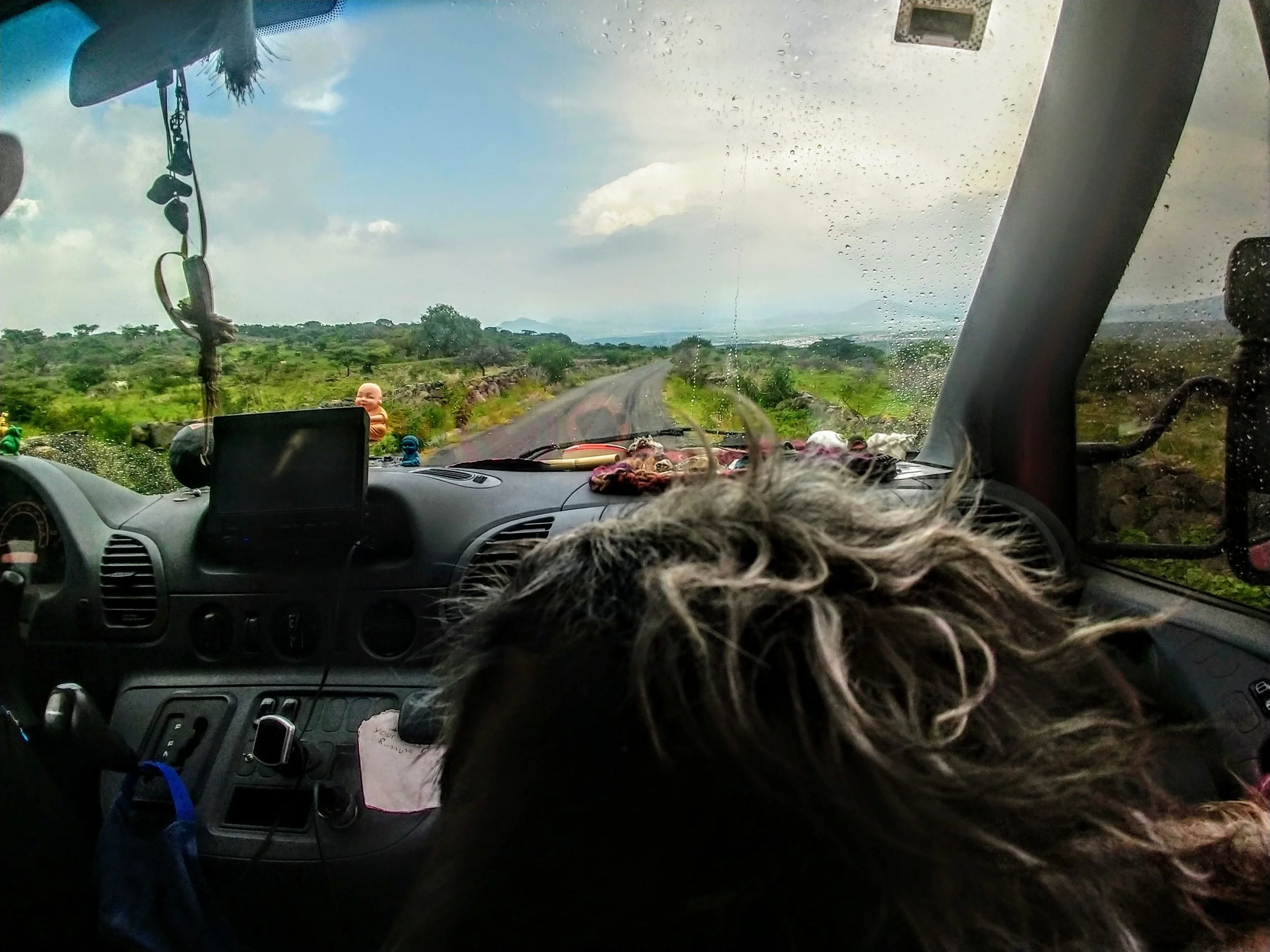 Dog continues to be our co-pilot.