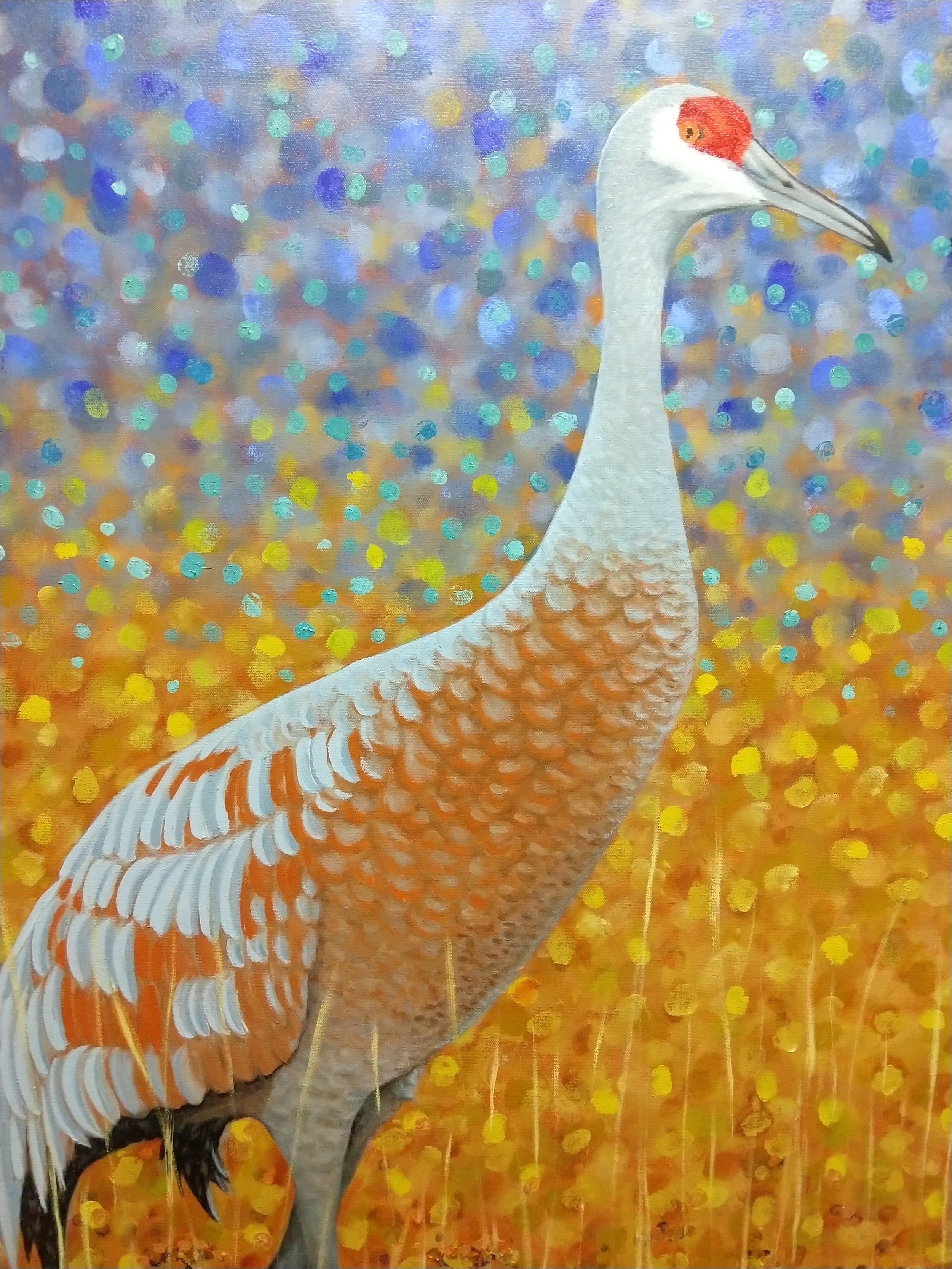 Sandhill Crane - Painting by Steve Osman