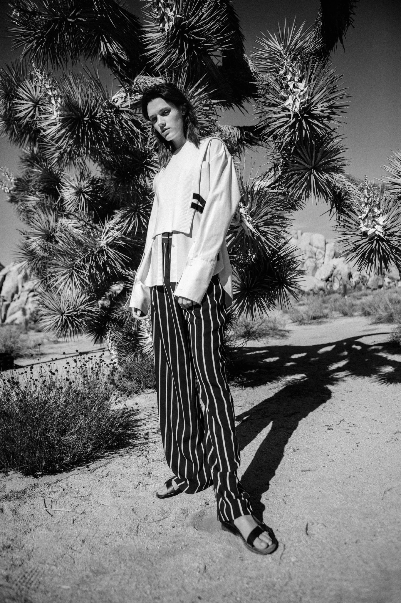 HIRO_20161208Untitled Session6240_preview.jpeg