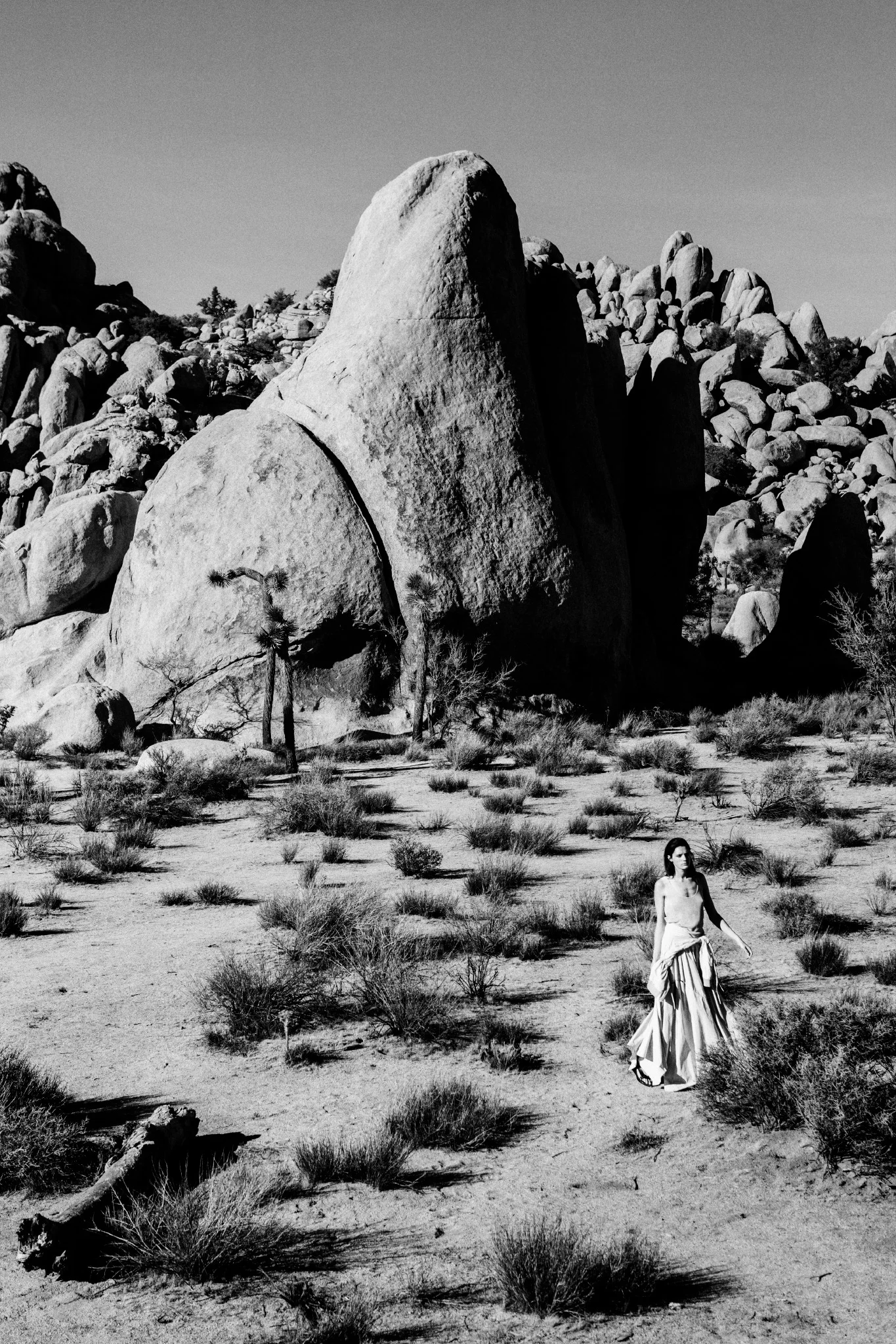 HIRO_20161208Untitled Session6444_preview.jpeg