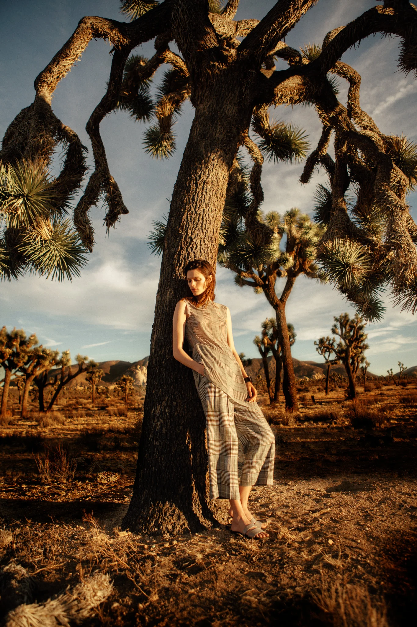 HIRO_20161208Untitled Session6819_preview.jpeg