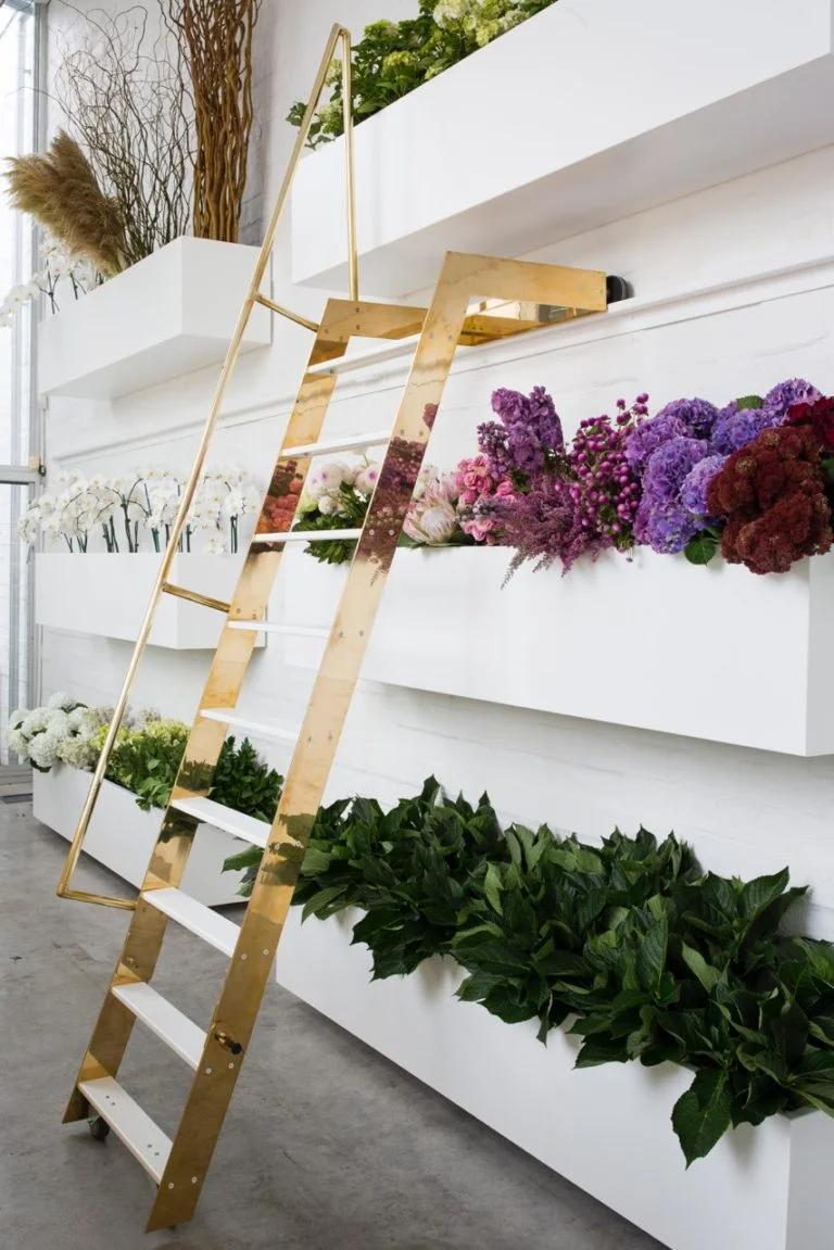 Image Source: Newzealanddesignblog.com
