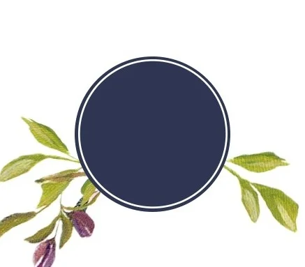 Circle_Web_Graphic_Blue.jpg