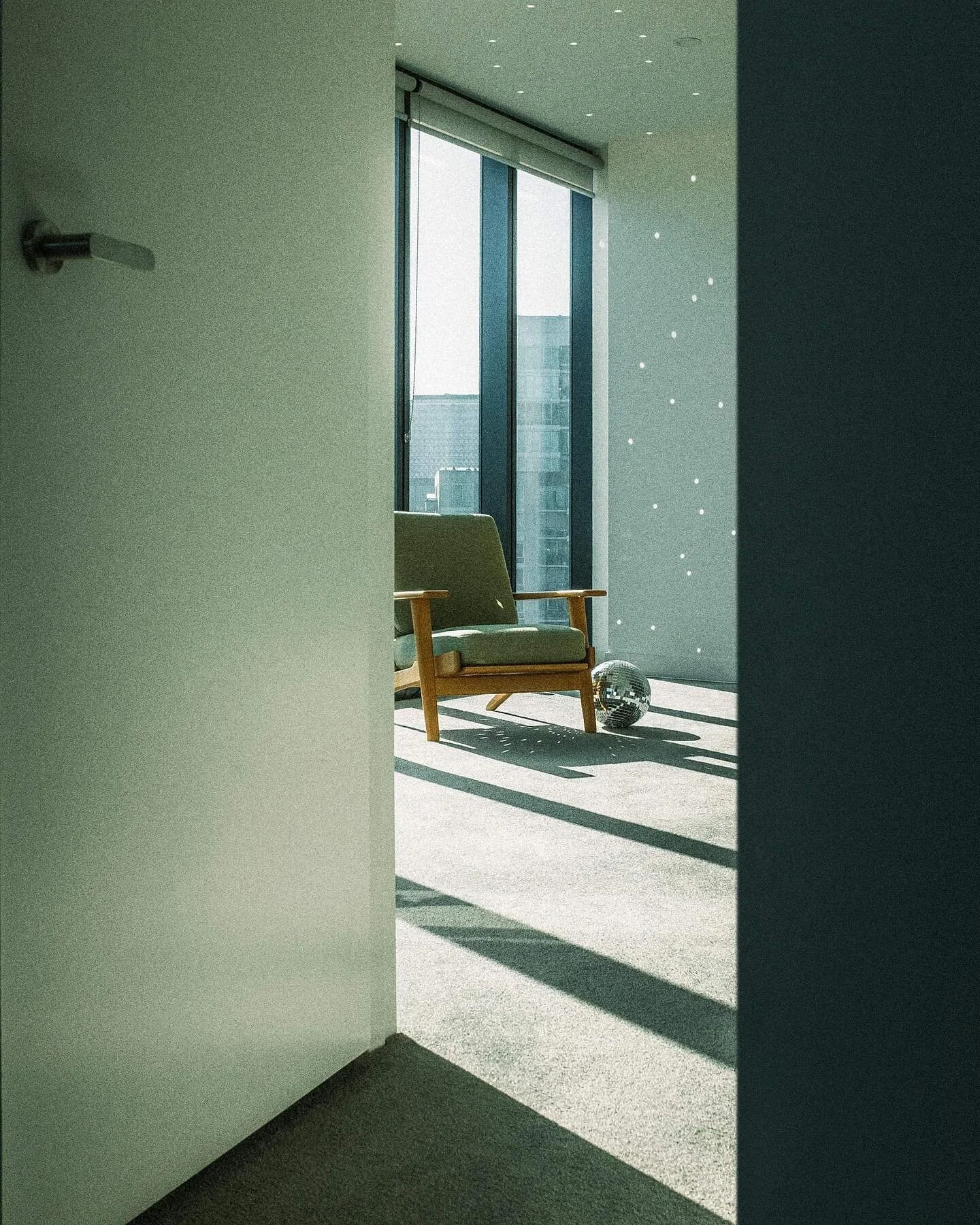 Our living room, in the afternoon sunlight 🌞