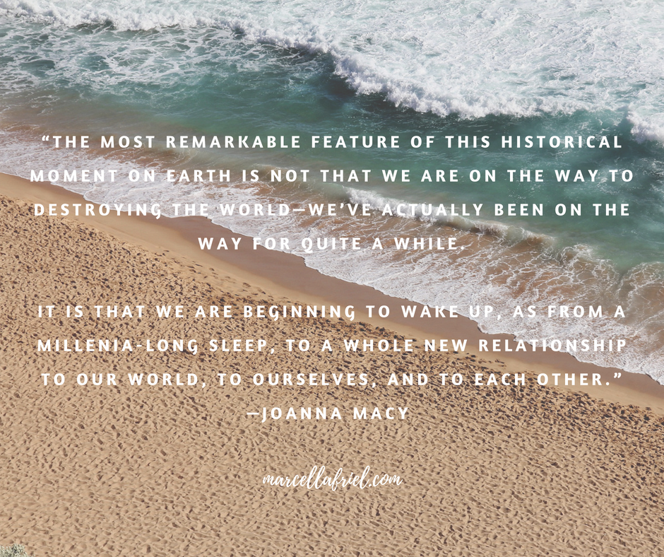 “The most remarkable feature of this historical moment on Earth is not that we are on the way to destroying the world—we’ve actually been on the way for quite a while. It is that we are beginning to wake up, as from .png