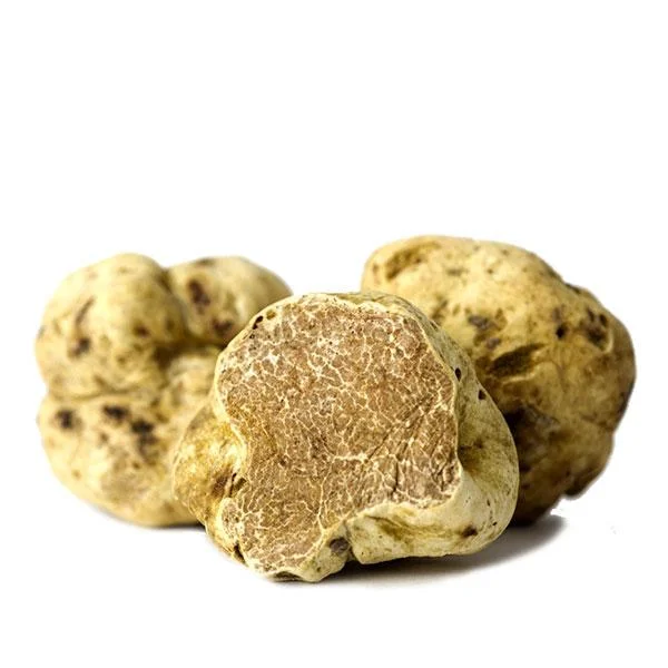 Fresh White Truffles (Tuber Magnatum Pico)