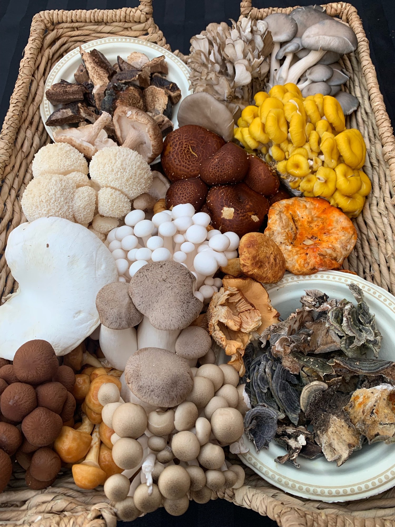 From top left to right: Reishi (Ganoderma lucidum), Maitake, Blue Oyster, Yellow Oyster, Grey Oyster, Shiitake, Lion’s Mane, Chestnuts, Lobster, Alba Clamshells, Nebrodini Bianco, King Trumpets, Chanterelles, Brown Clamshells and Turkey Tail (Trametes versicolor)