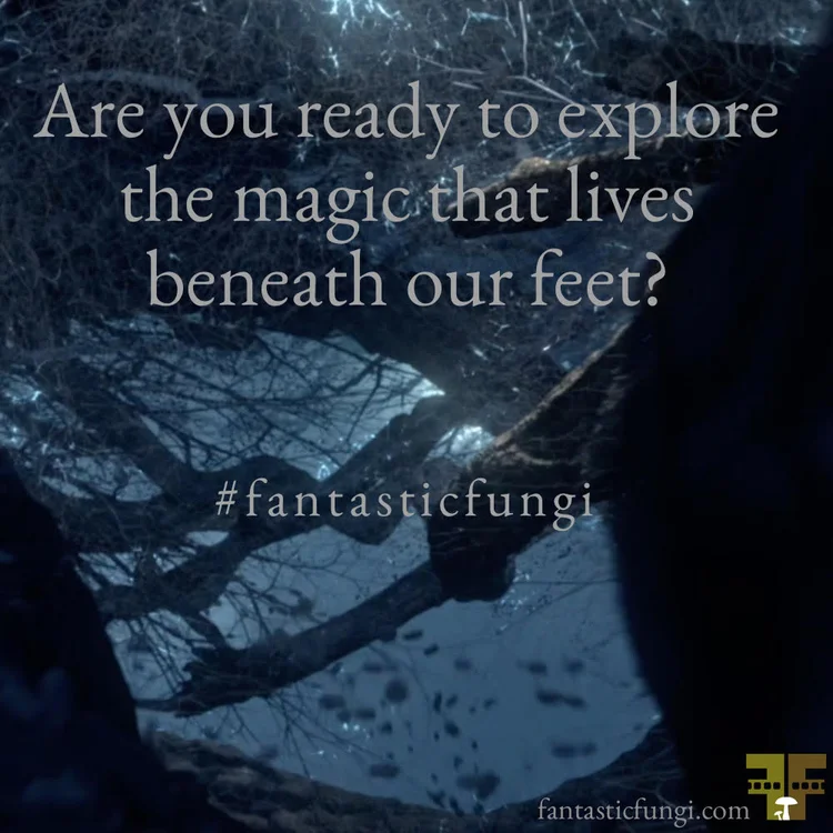 Credit photo: Moving Art, LLC