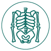 xray-icon.png